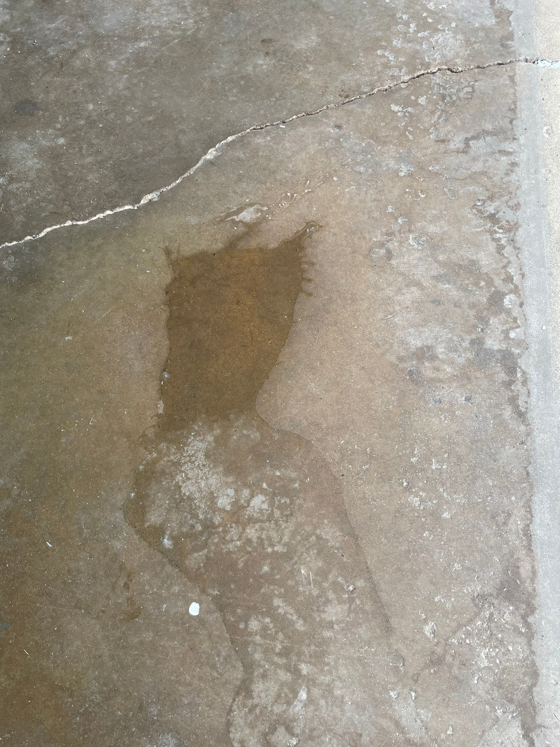 Coyote Flake Concrete Coating for Sioux Falls Garage by Select Painting, Coatings & Garage Cabinets