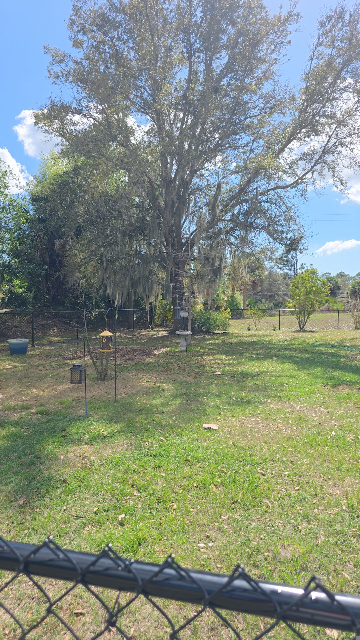 Chain Link Install in North Port by True Fence LLC