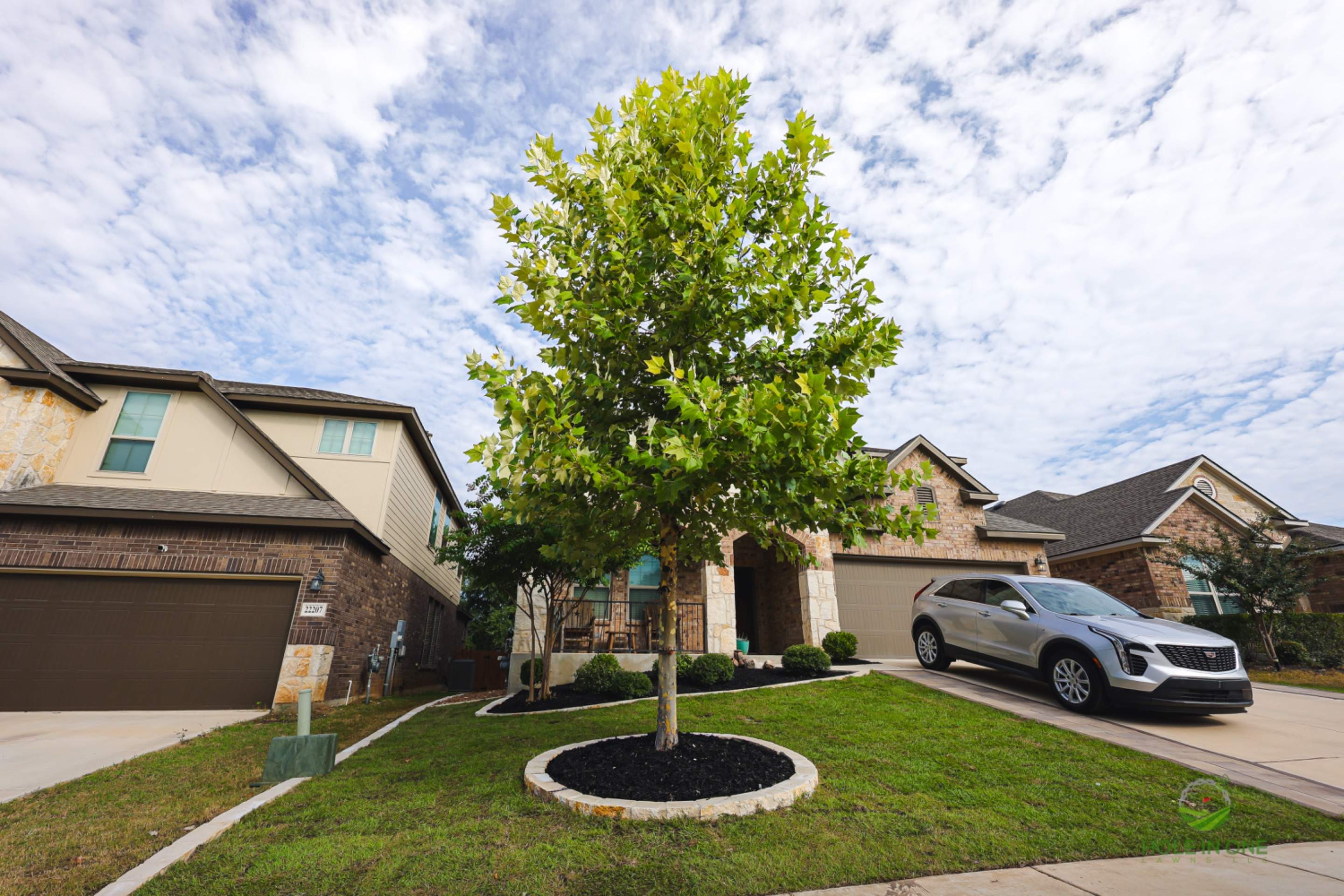 Wortham Oaks, San Antonio Tx. by Hole In One Lawns, LLC