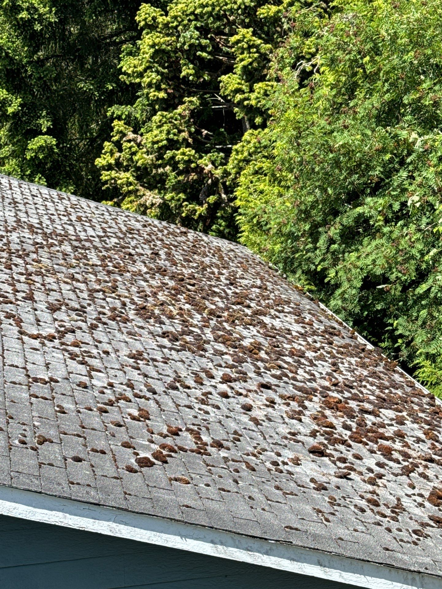 Project by Connolly Construction Company by Connolly Construction Company