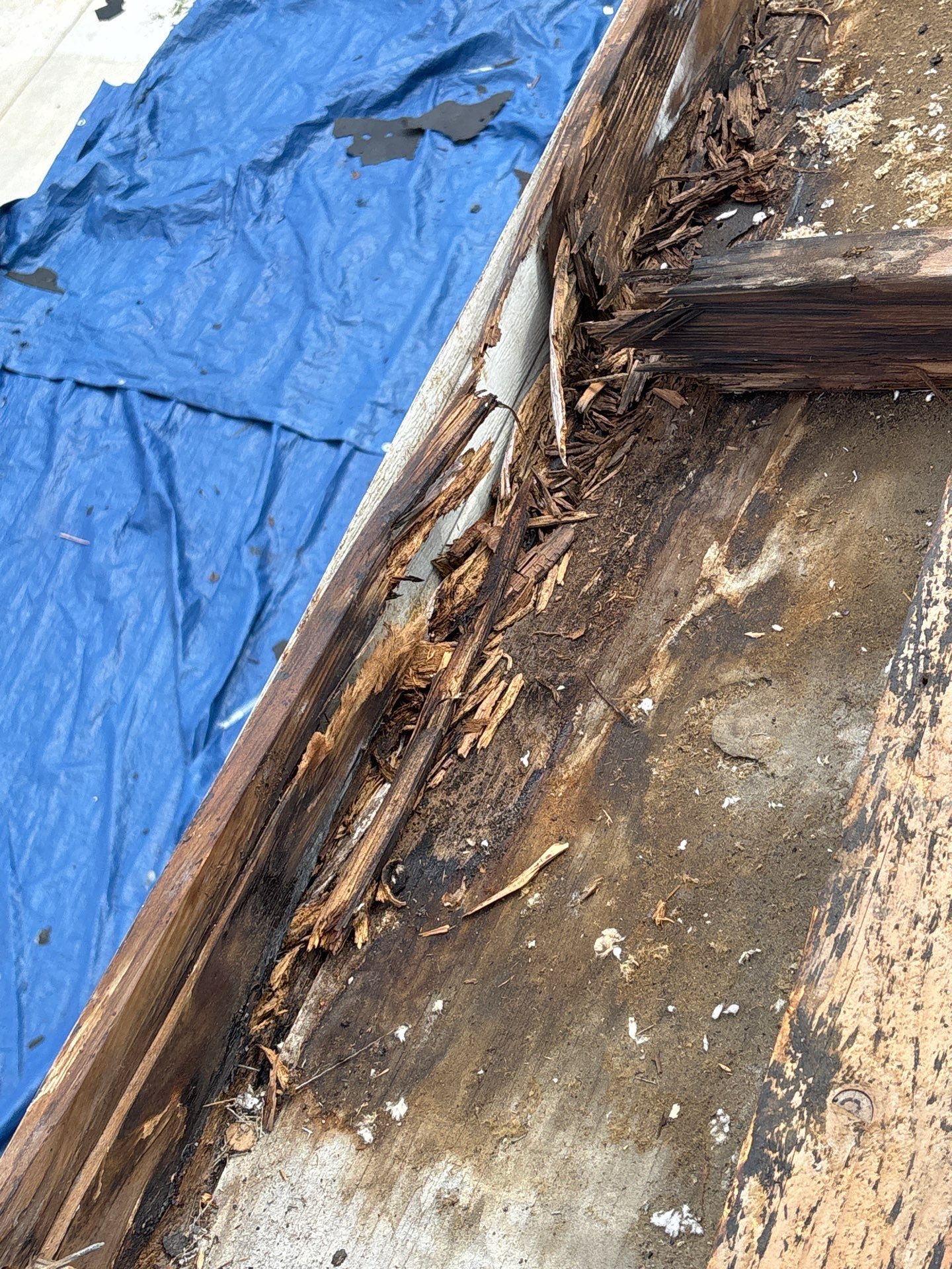 Project in St. Petersburg 33705 by Mitchell Roofing Company LLC 