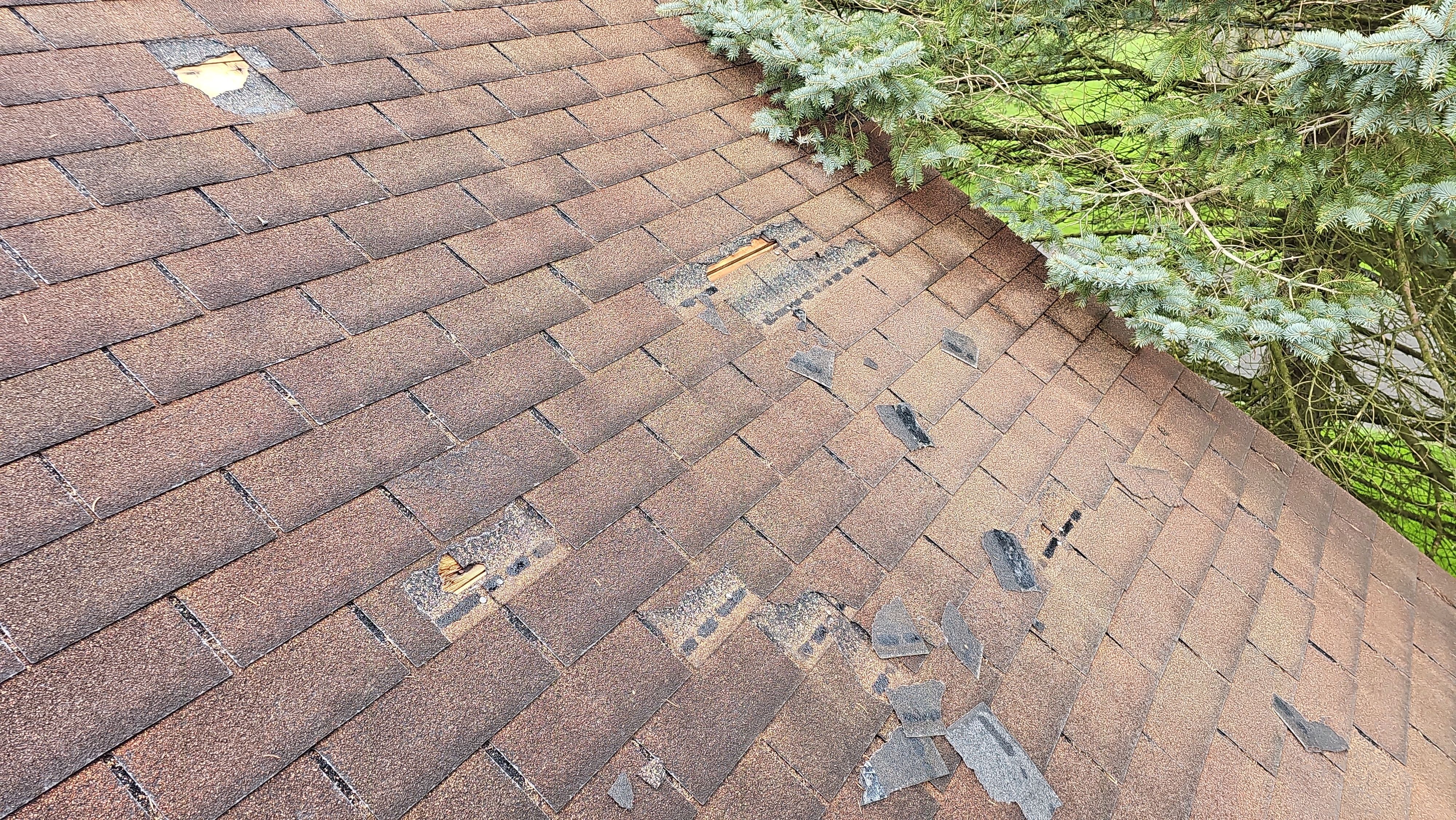 Atlas Pinnacle, Color, Morning Harvest, Drip Edge, Color, Royal Brown by Eagle Eye Roofing