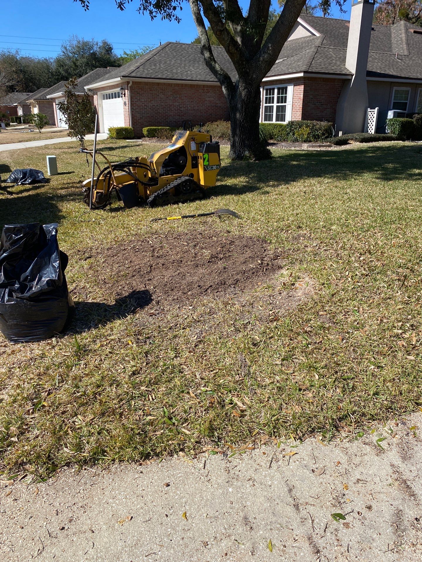 Residential | Tree Removal by ProGreen Services