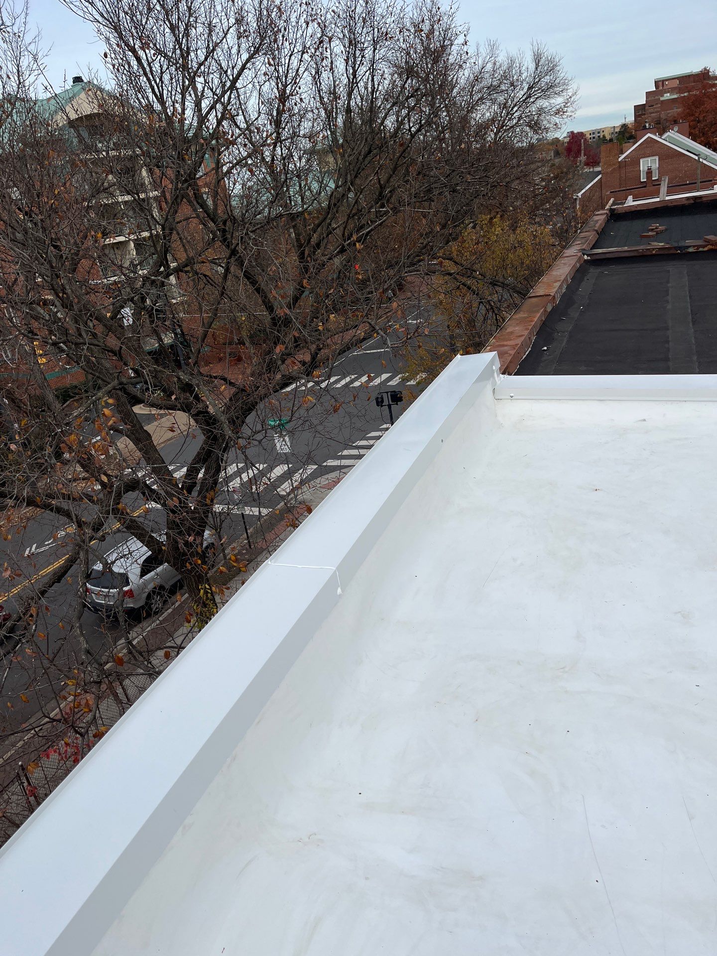 Alexandria: Residential Flat Roof Replacement with Mule Hide TPO Membrane by RM Banning, Inc.