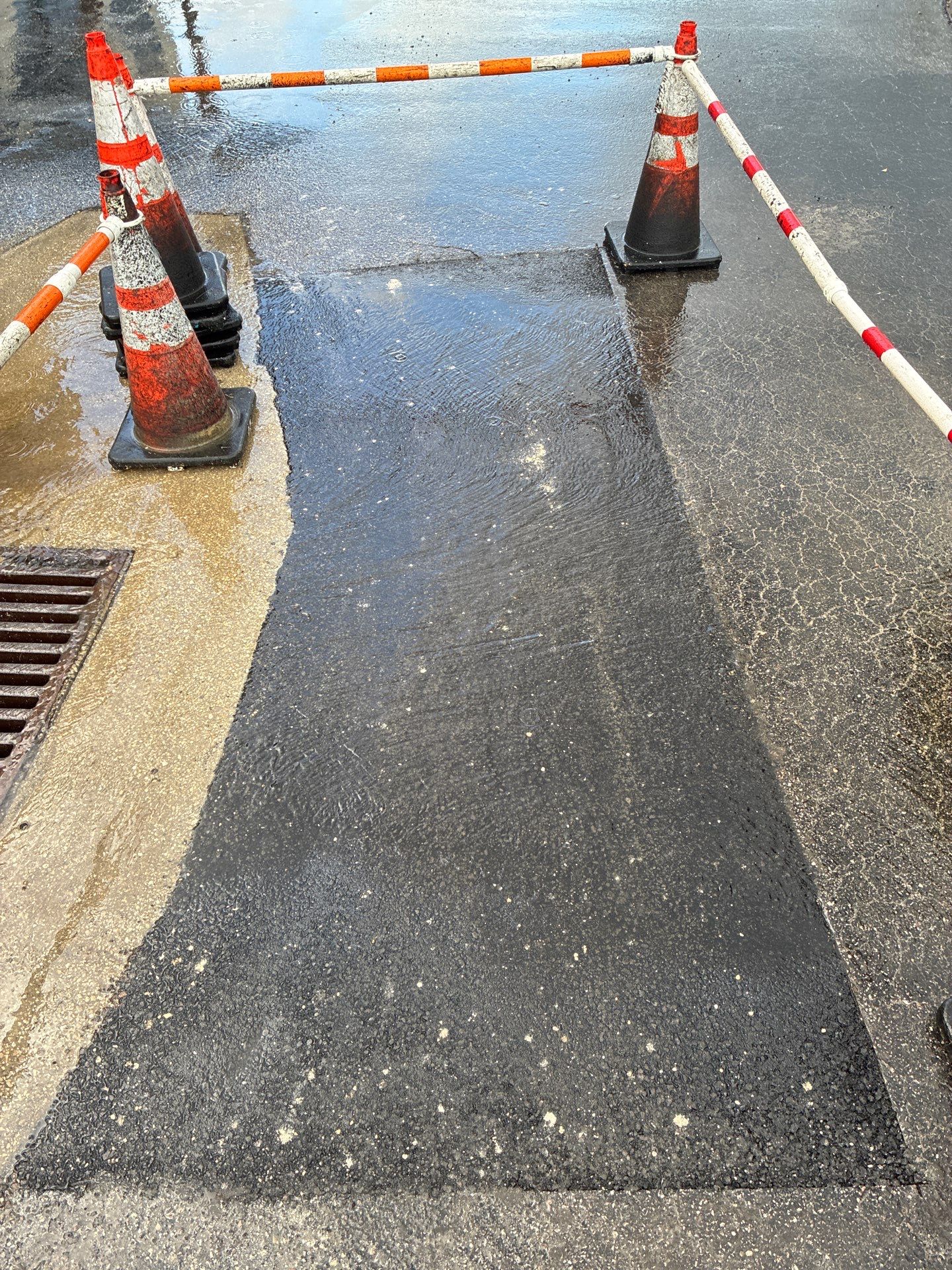 Sealcoating, Line Striping, & Asphalt Repair at LECOM School of Dental Medicine by Everline Coatings & Services - Southwest FL