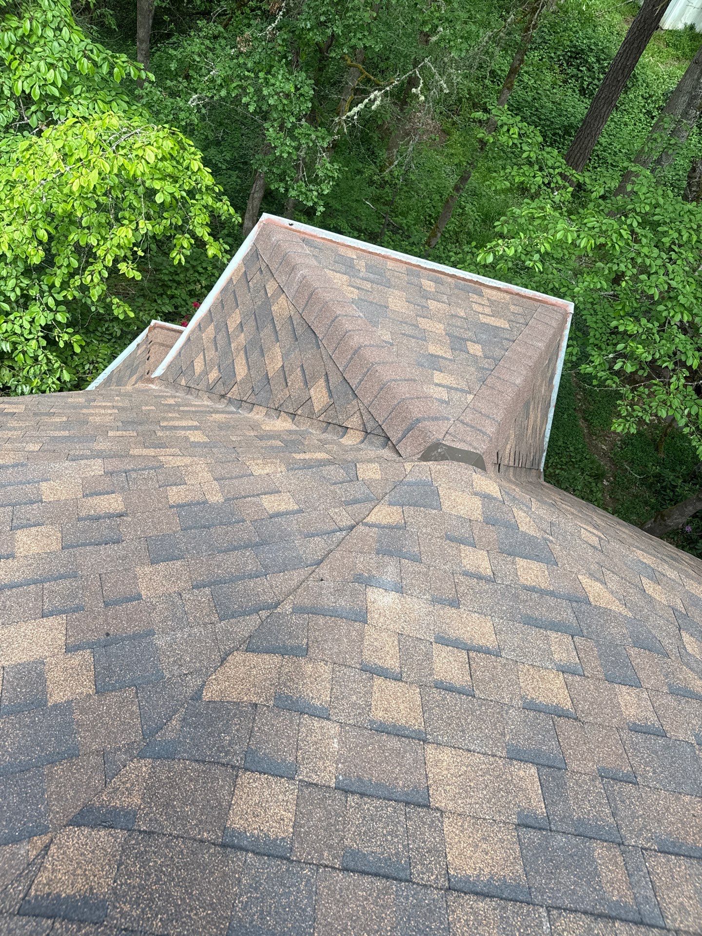 Custom Geodetic Dome Roof Replacement and Structural Repair in Eugene by BEST Roofing & Waterproofing