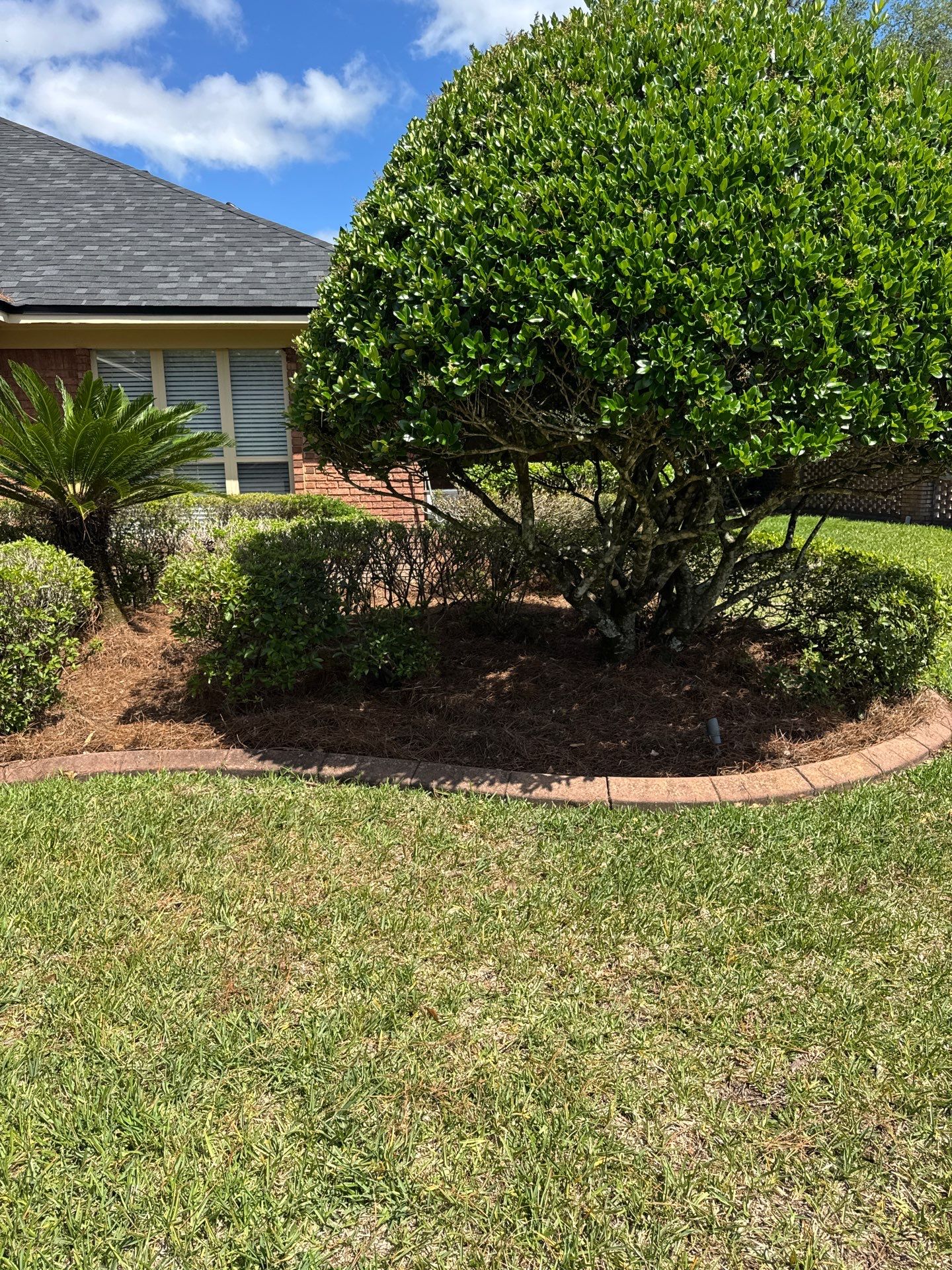 Deerwood Resident | Pine Straw Install by ProGreen Services