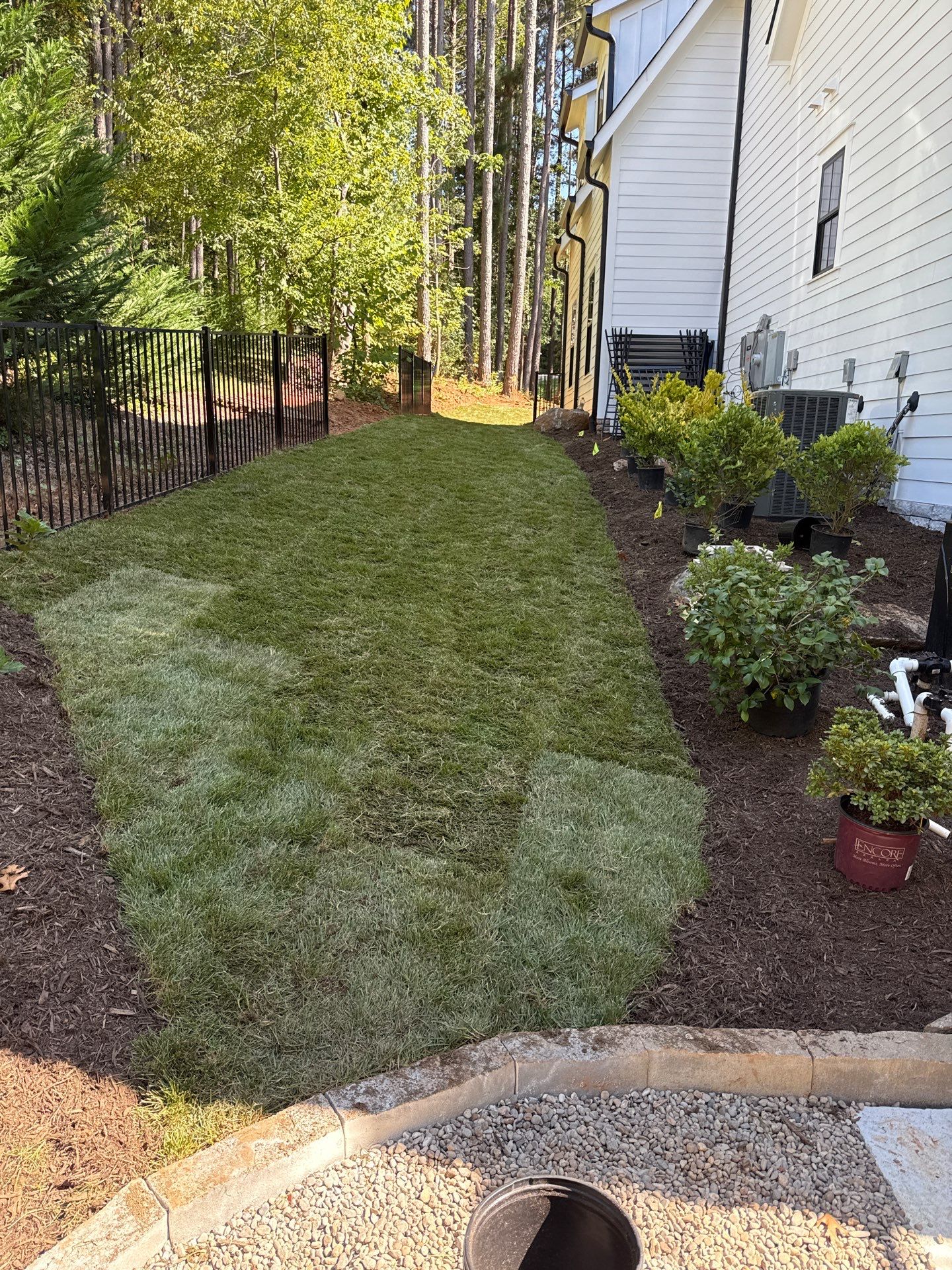 New Construction in Denver by Growing Edge Landscape & Design, Inc.