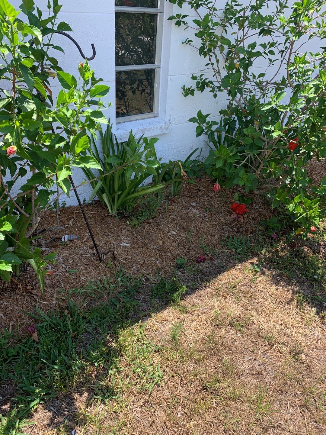 Soffit and Fascia Replacement in Englewood FL by Gutter Professors