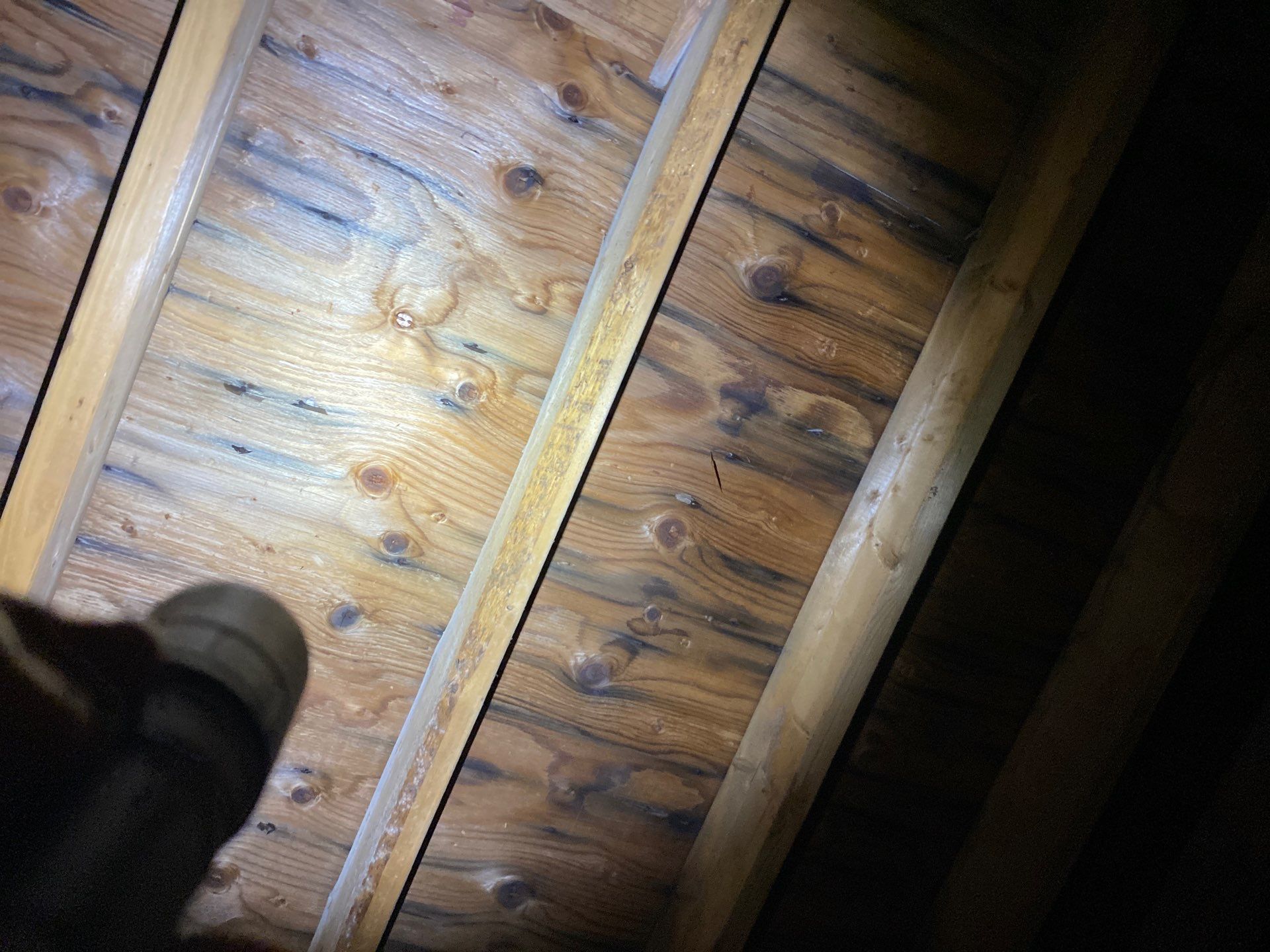 Roofing | Northborough by Mighty Dog Roofing of Greater Middlesex County