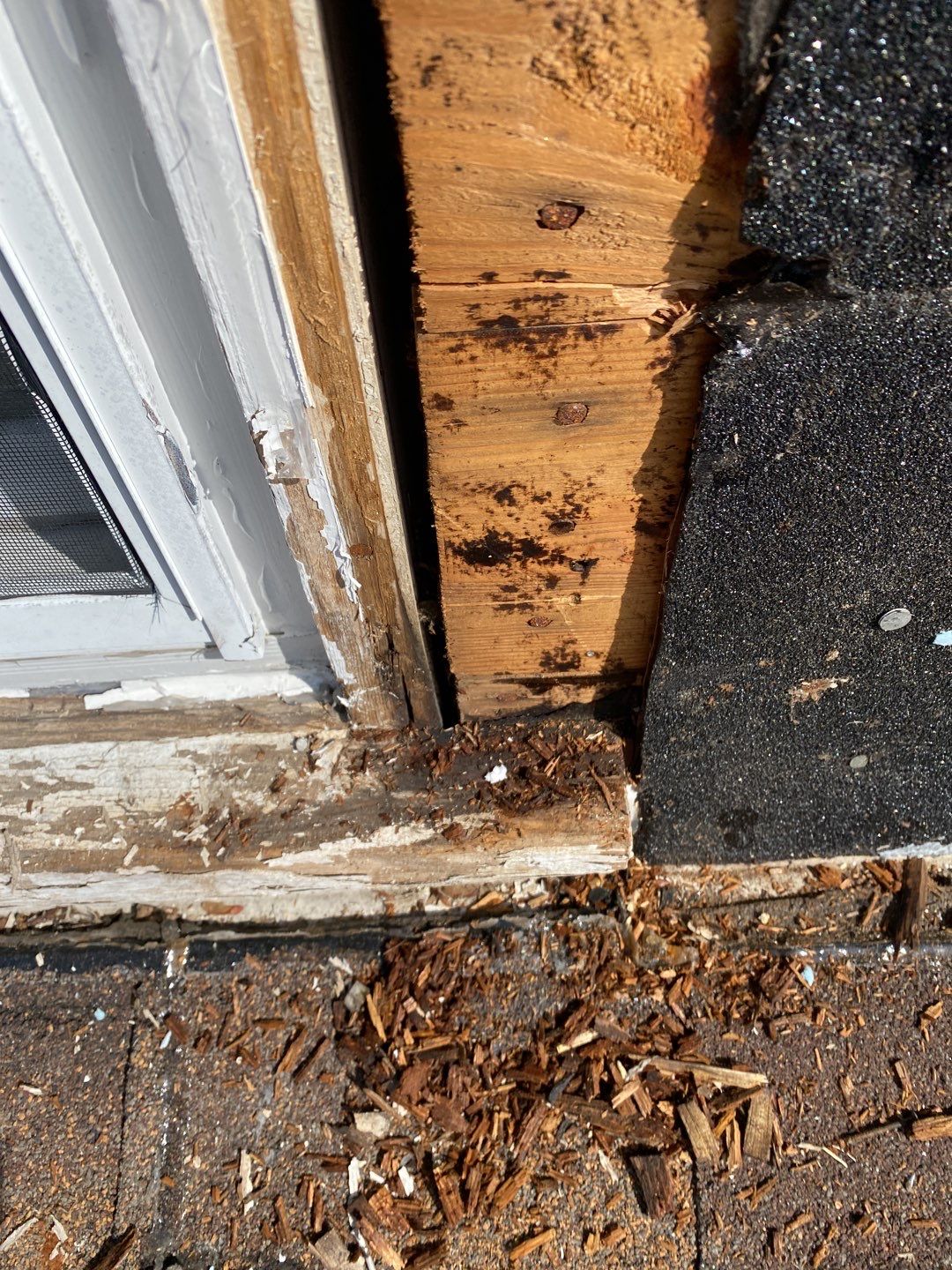 Siding Repair using Wood Siding by A Plus Exterior