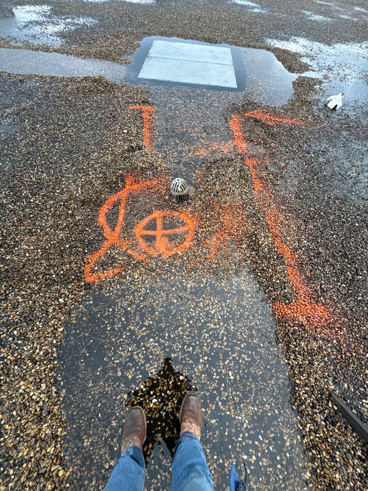 Commercial Roof Repair (Flat Roof) by Associates Roofing Unlimited 