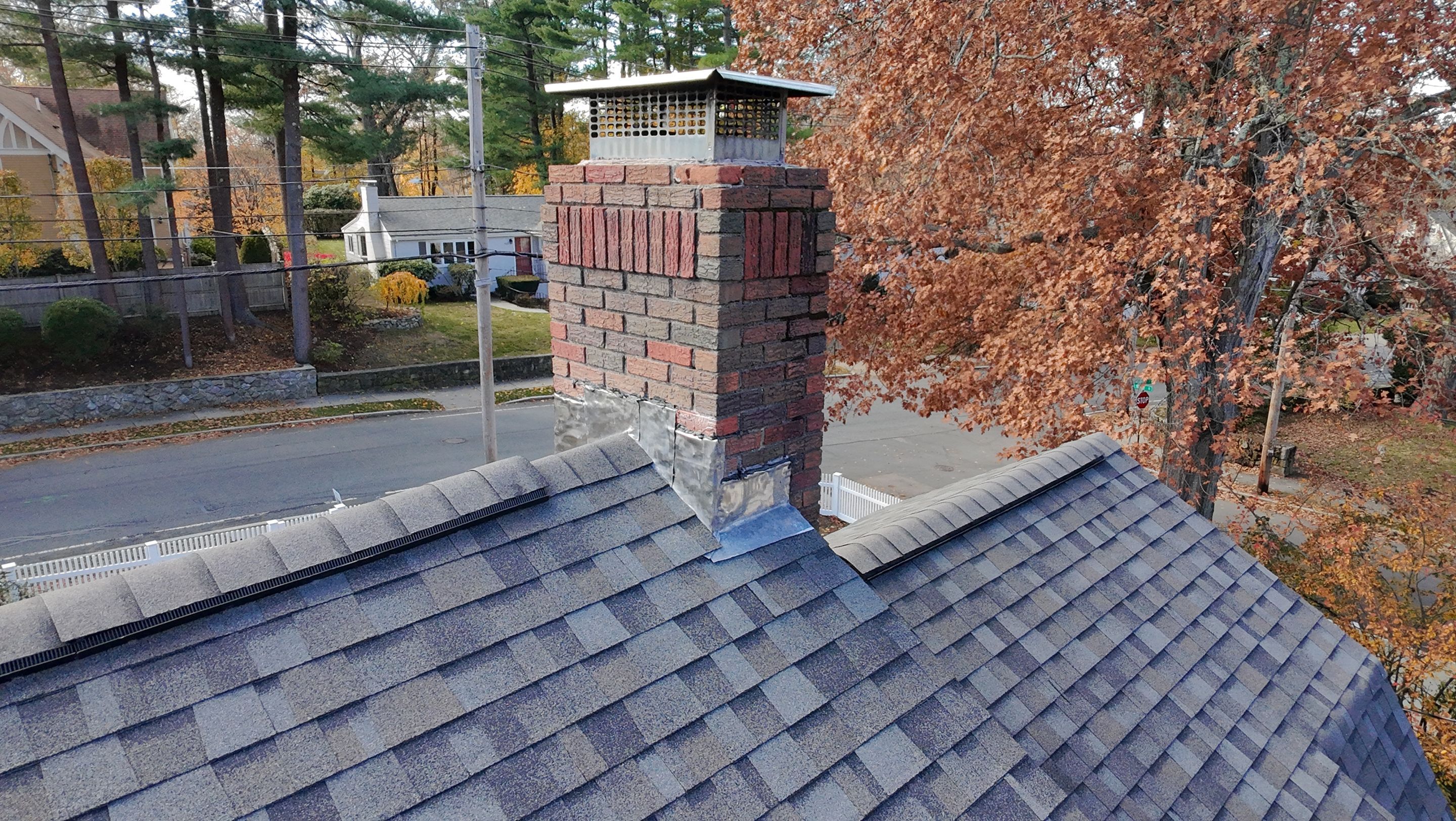 Project in Newton by JOHNNYS PRO