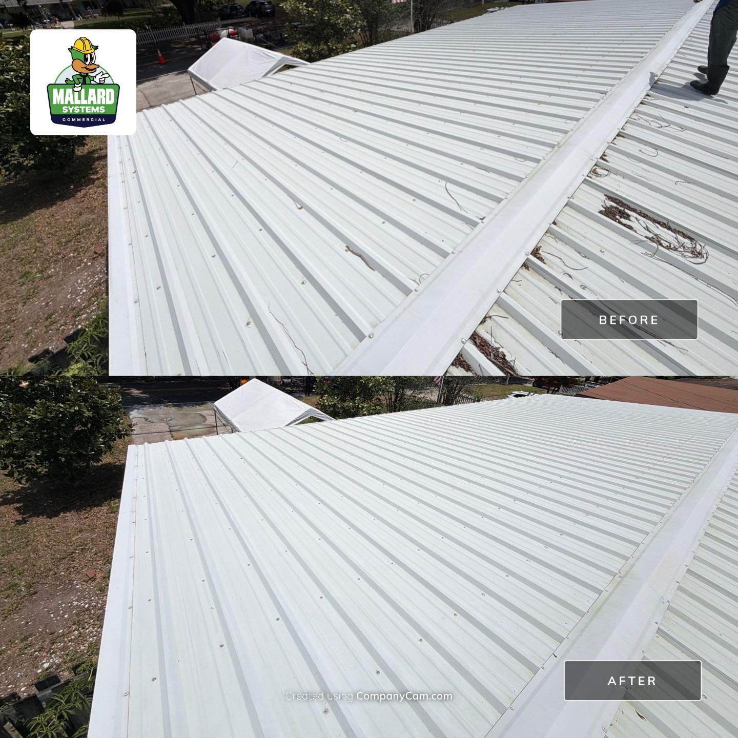 White Metal Roof Cleaning and Roof Debris Removal by Mallard Systems