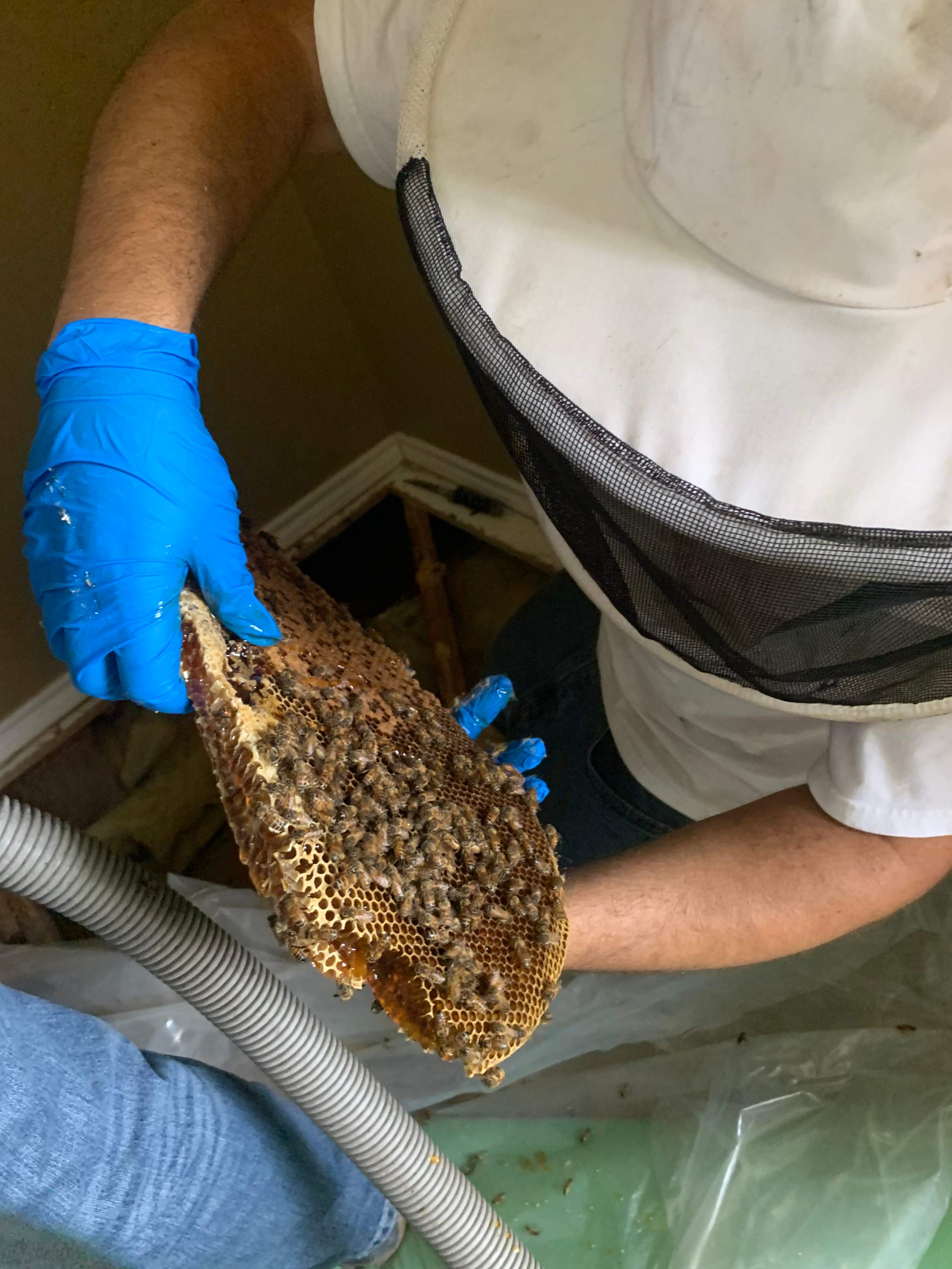 Beekeepers-to-be by Rockwall Honey Bee Company