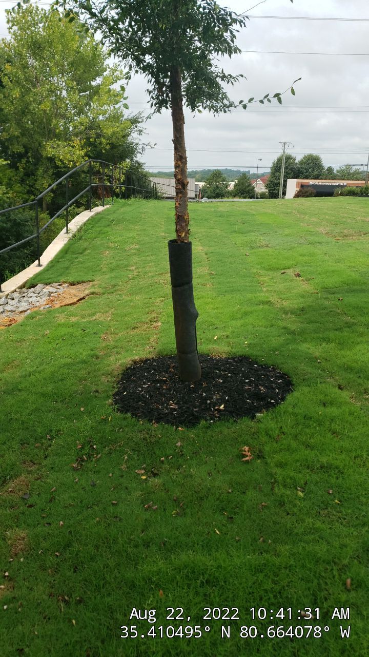 Commercial Landscaping Harris Teeter Fuel Station by Carolina-Metro Landscape, Inc