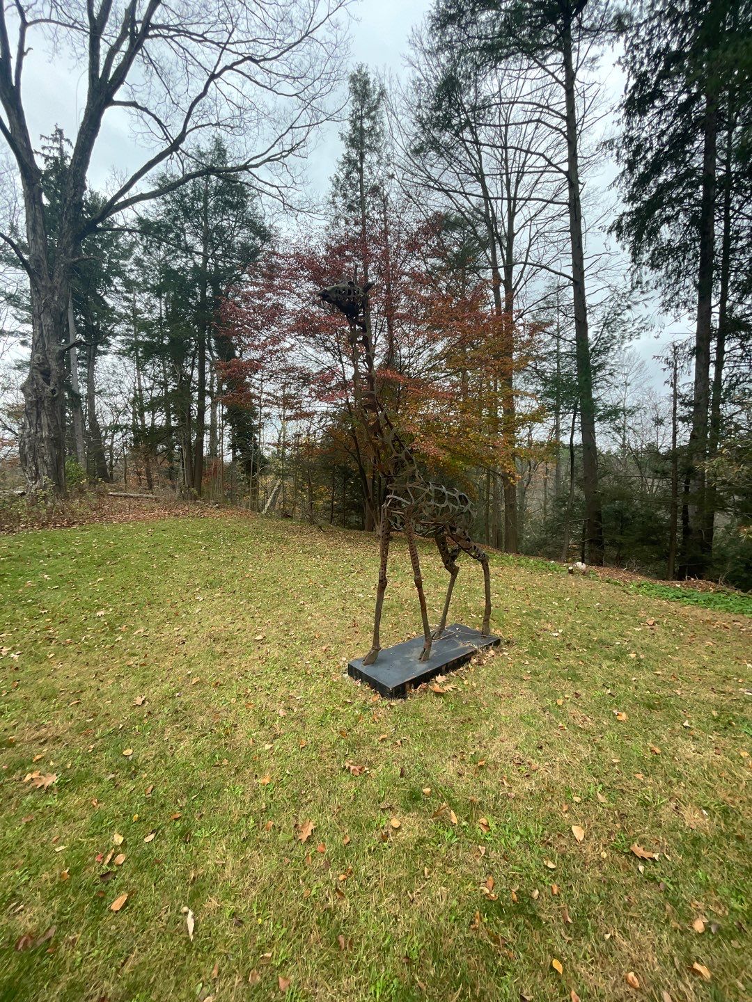 Residential Roofing Installation using Owens Corning TruDefinition Desert Tan by A Plus Exterior