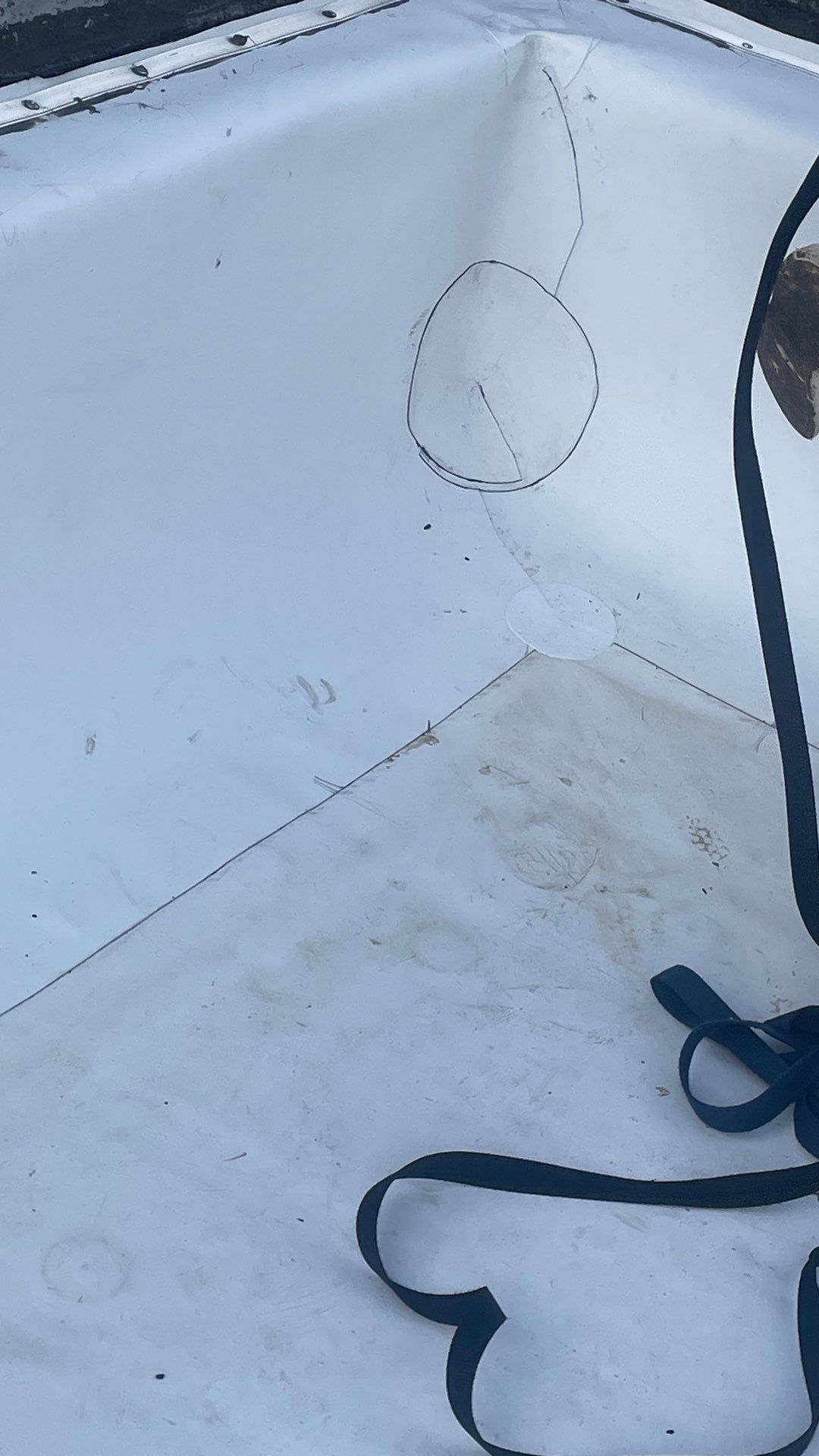 Problems in Paradise  by Bayfront Roofing and Construction