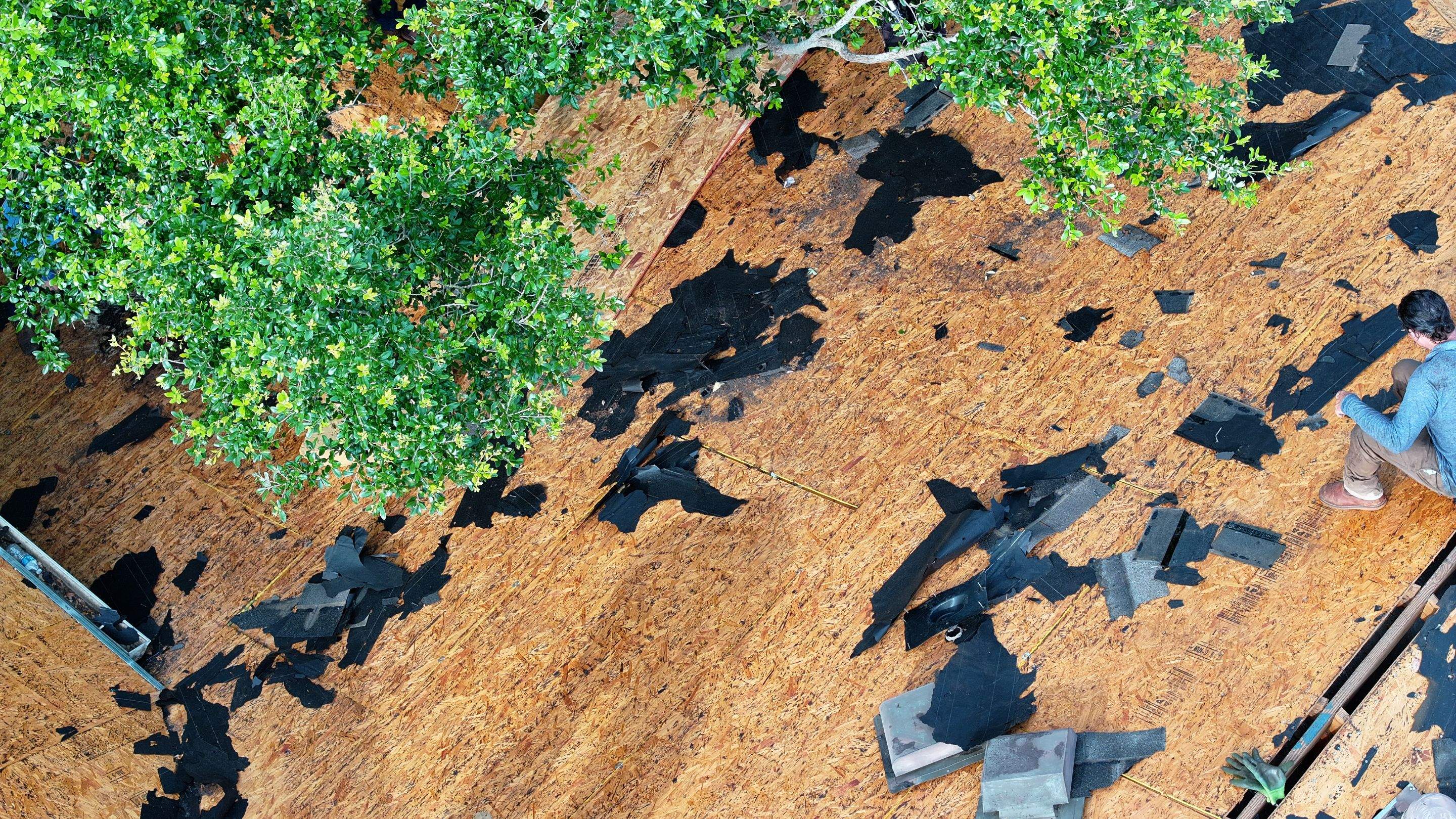 Autumn Brown Shingle Roof Replacement — Houston, TX by PL Roofing & SB Roofing, LLC.