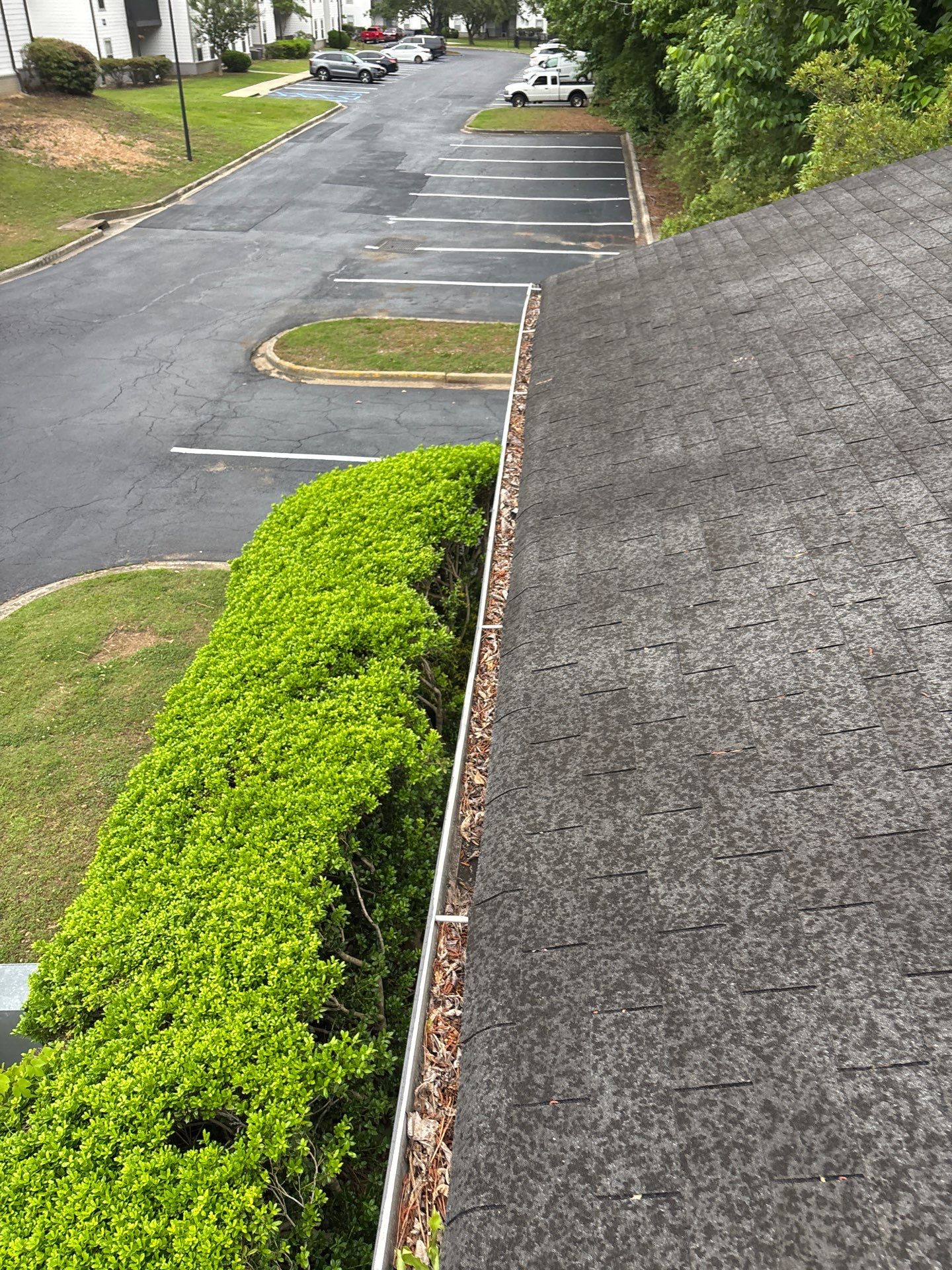 Commercial gutter cleaning Tuscaloosa before photo with filled gutters