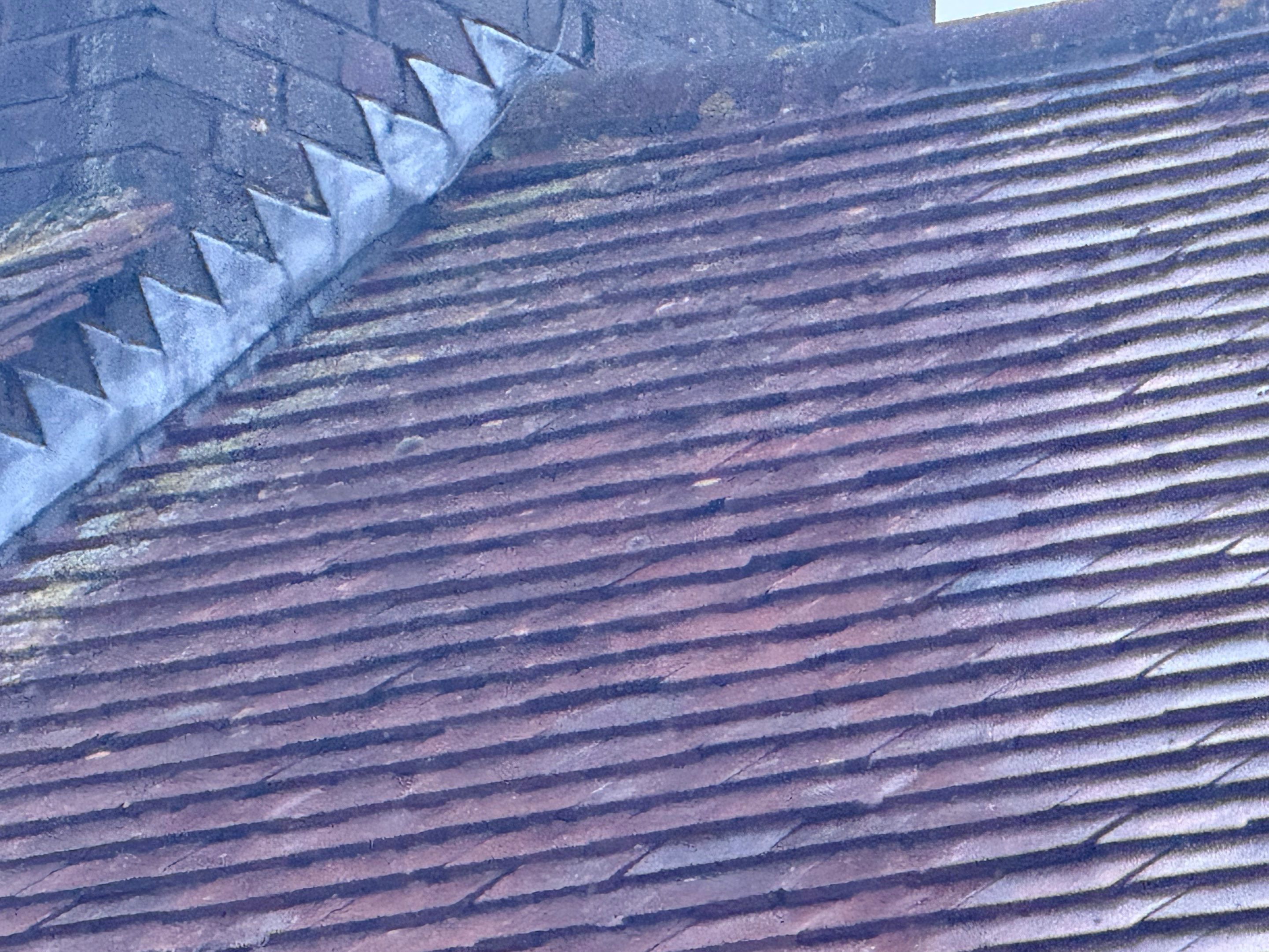 Roof Clean Banstead by Ges Exterior Cleaning ltd