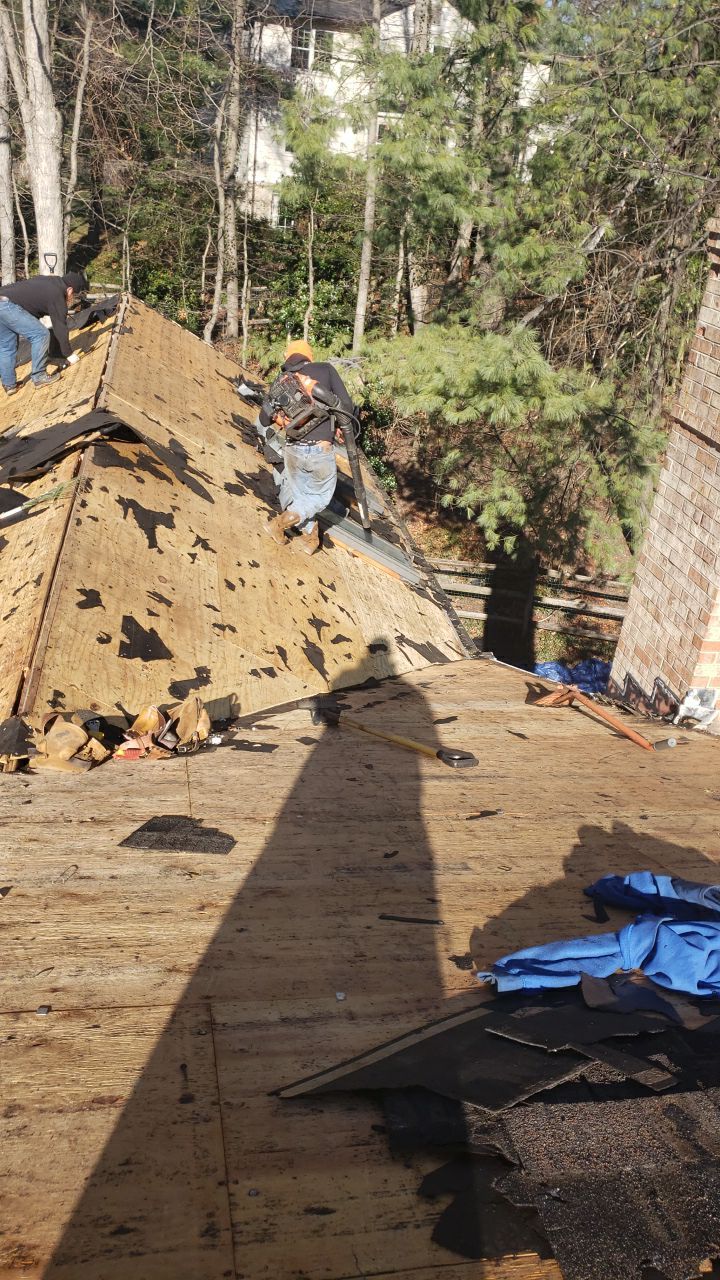 Vienna: Certainteed Landmark Pro Designer Shingles in Max Def Driftwood by RM Banning, Inc.