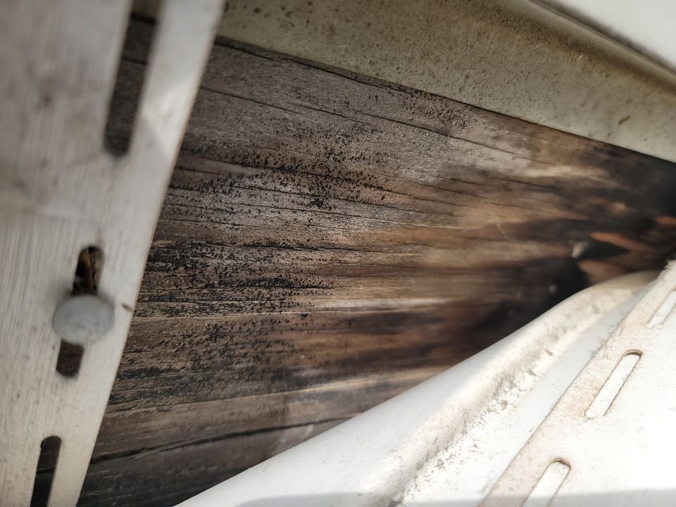 Brand: Atlas Pinnacle Color: Pristine Scotchgard Weathered Shadow Drip: Musket Brown by Eagle Eye Roofing