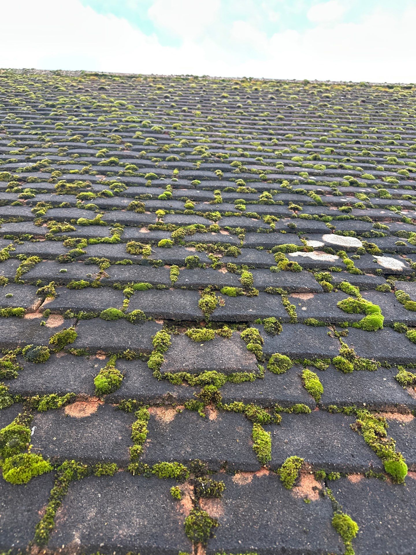 Roof And Driveway Clean by Ges Exterior Cleaning ltd