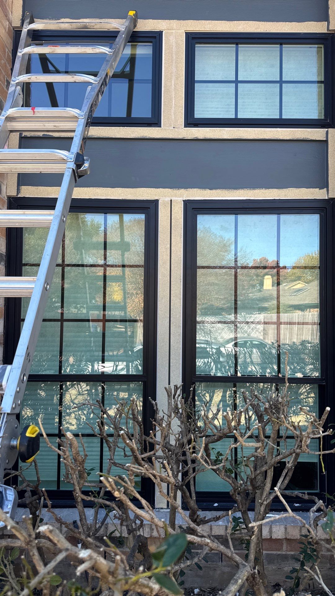 Windows and Exterior Paint by Rhino Roofing and General Contracting, LLC