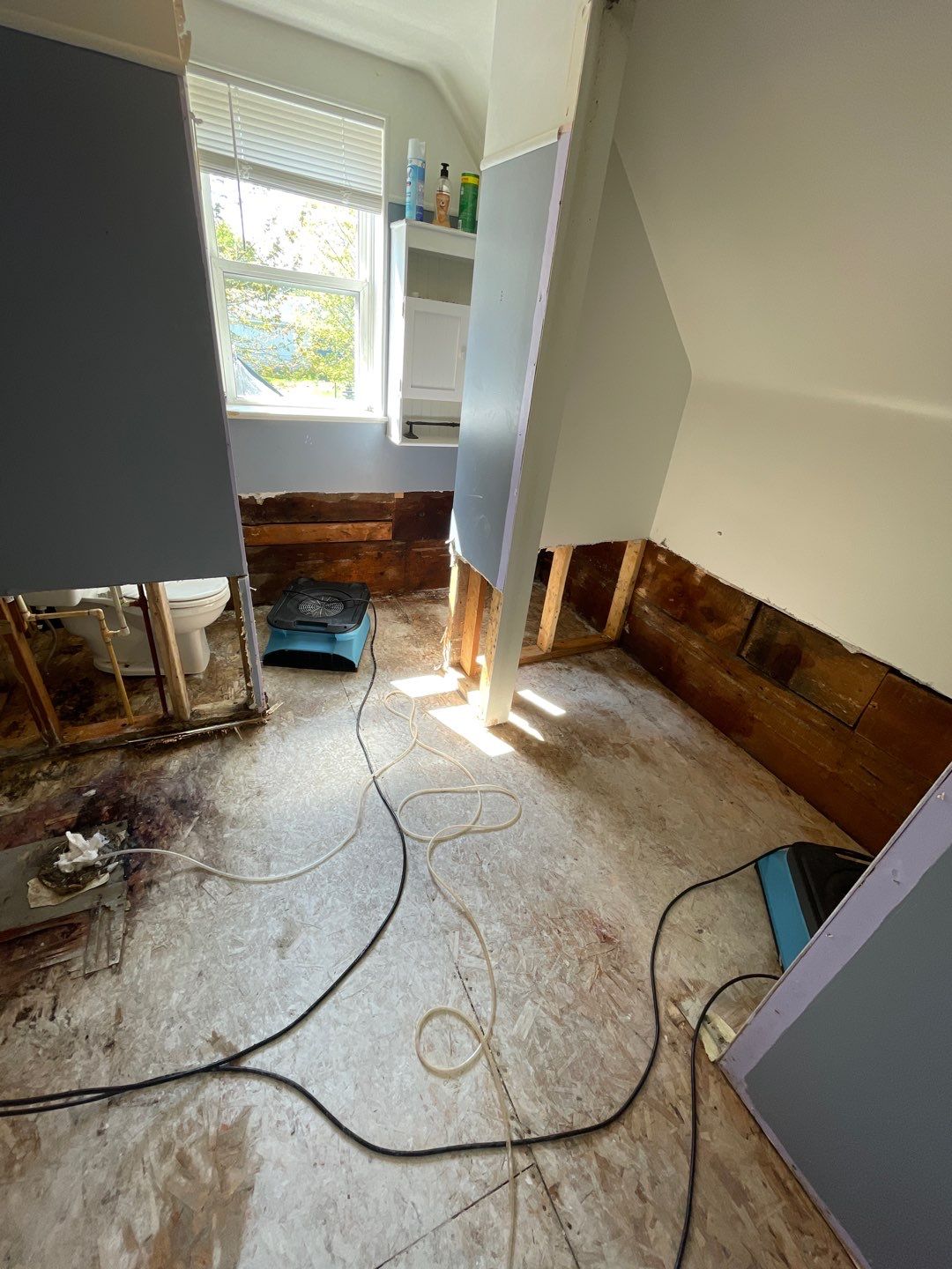 Project in Croswell by EzDry Water Mitigation & Property Restoration