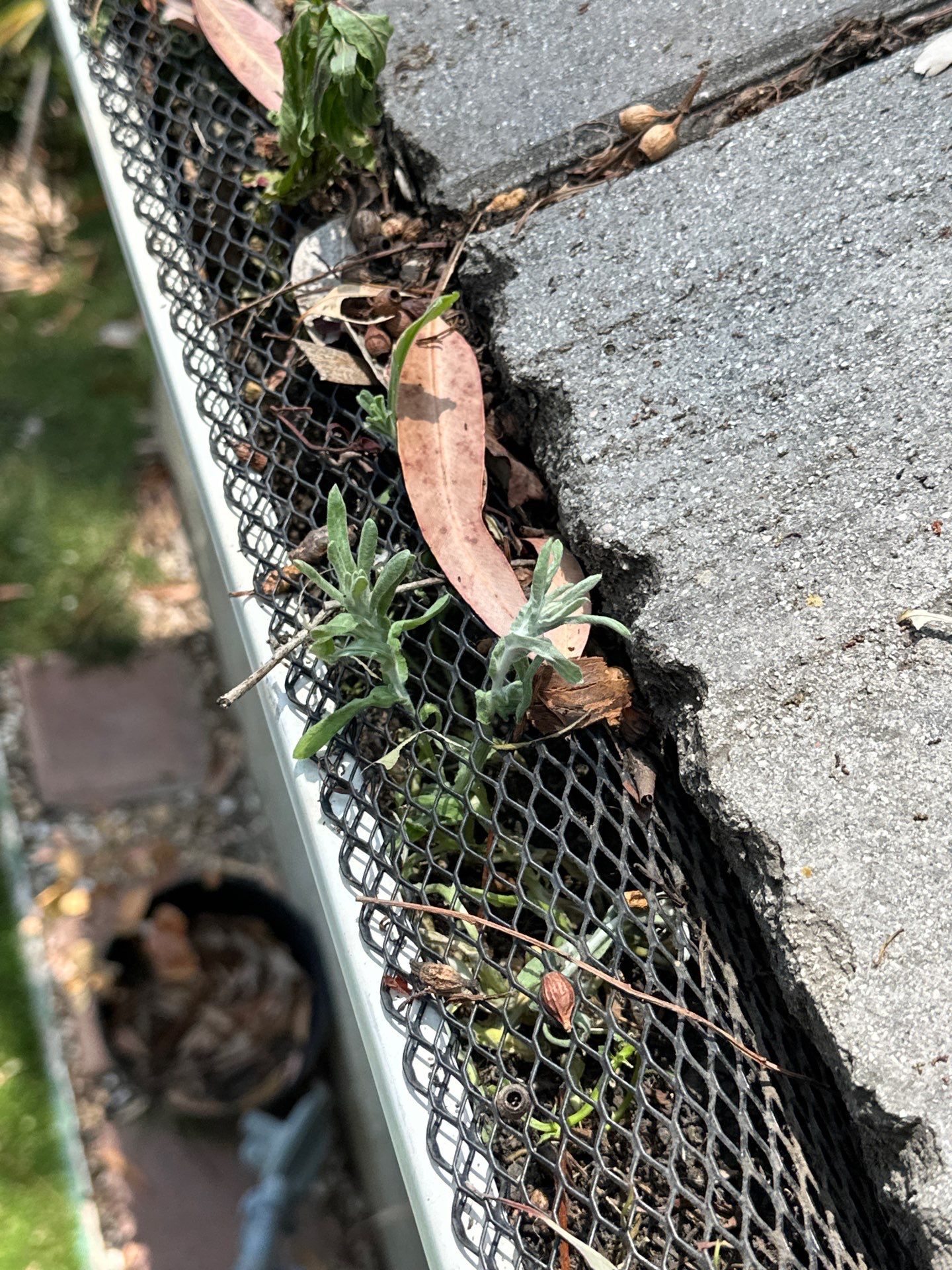 Lake Forest Gutter Cleaning - Gutter Guard Removal by Property Cleaning Experts