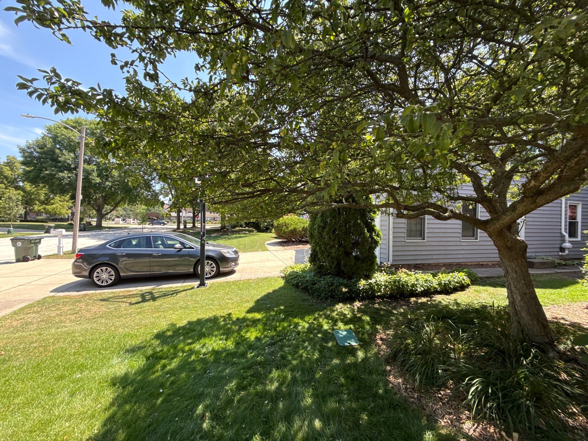 John K. - Arlington Heights, IL by A&N 