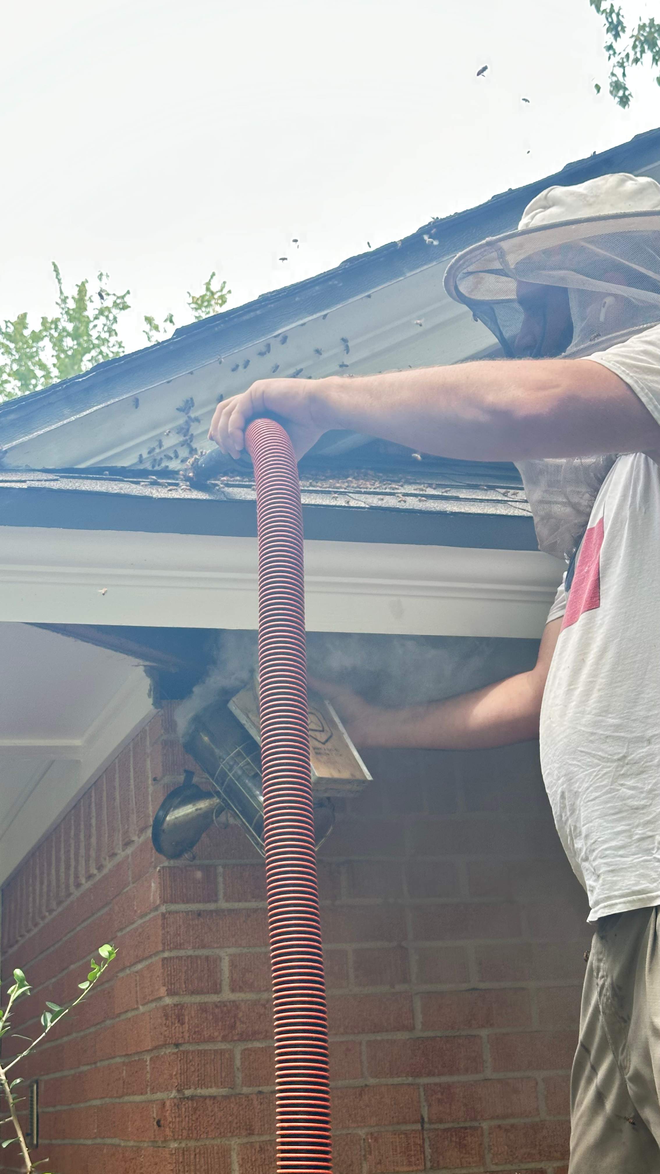 Long-term Residents by Rockwall Honey Bee Company