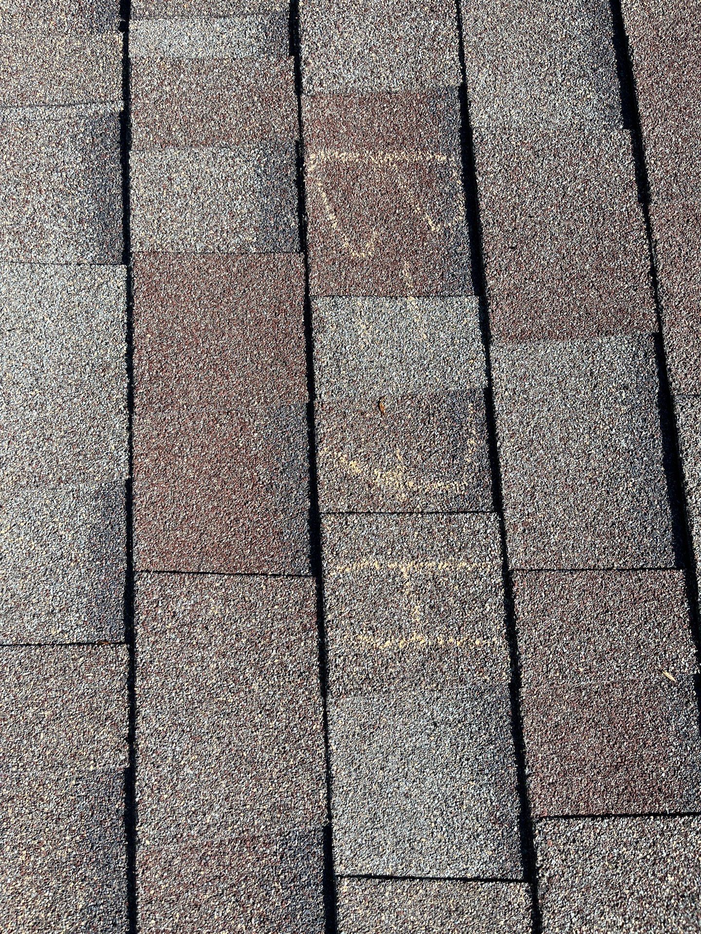 Turtle Roofing featured photo.