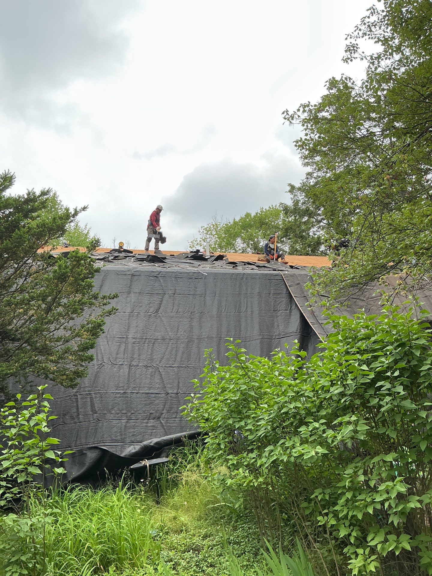 Gutters & Roofing | Acton by Mighty Dog Roofing of Greater Middlesex County