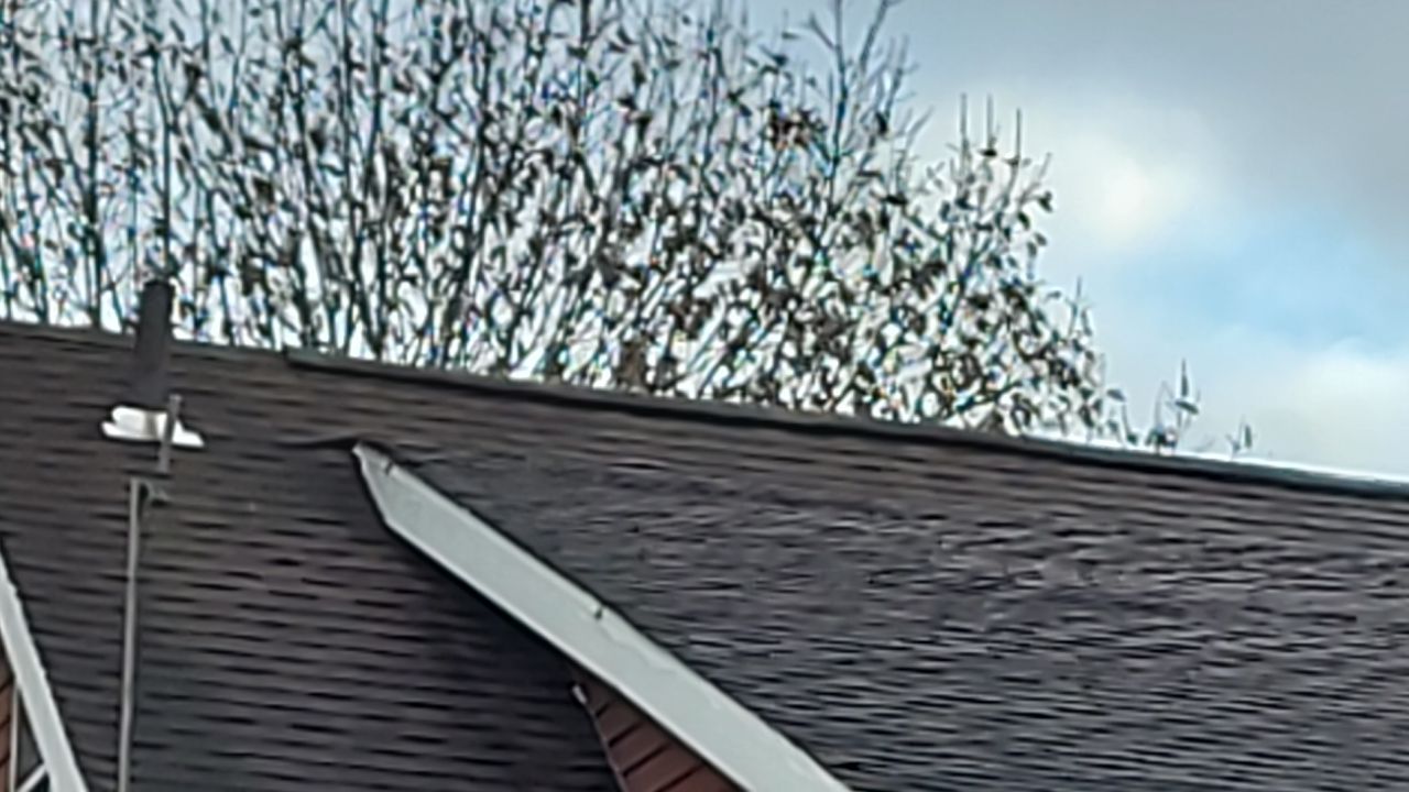 ATLAS PINNACLE COLOR: COASTAL GRANITE by Eagle Eye Roofing