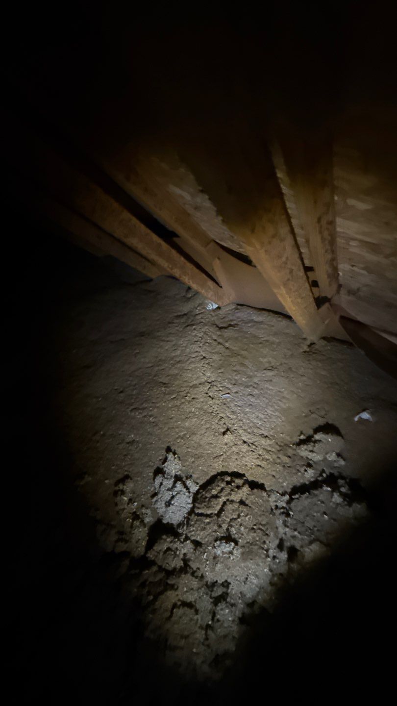 Roof Replacement and Attic Ventilation Upgrade in New Freedom, PA by Bealing Roofing & Exteriors