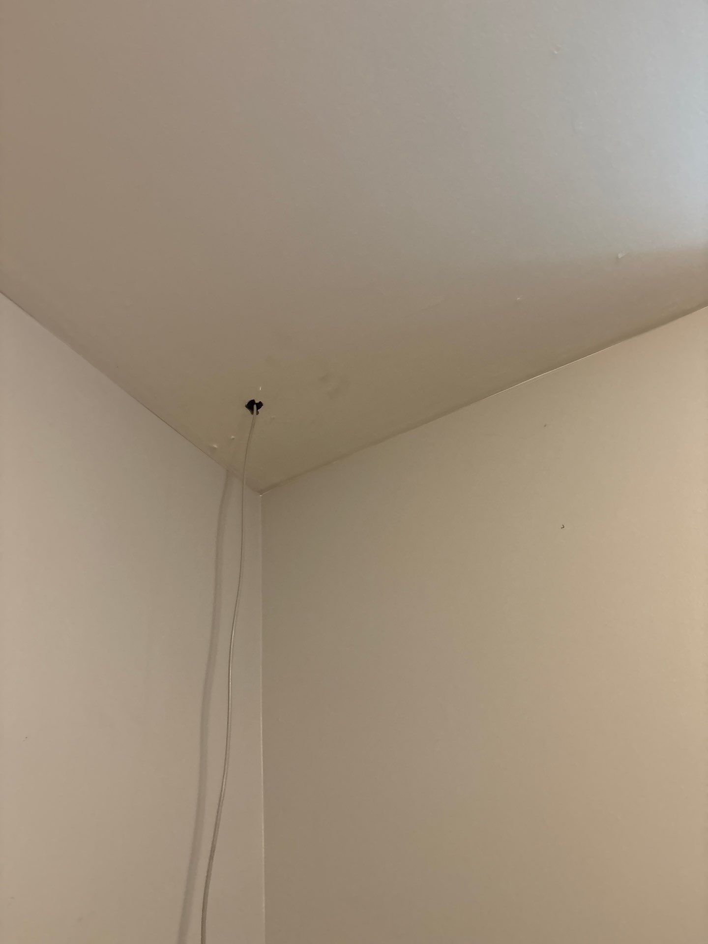Interior Renovation Featuring New Lighting and Electrical Updates in Denver by CompanyCam Sales Demo