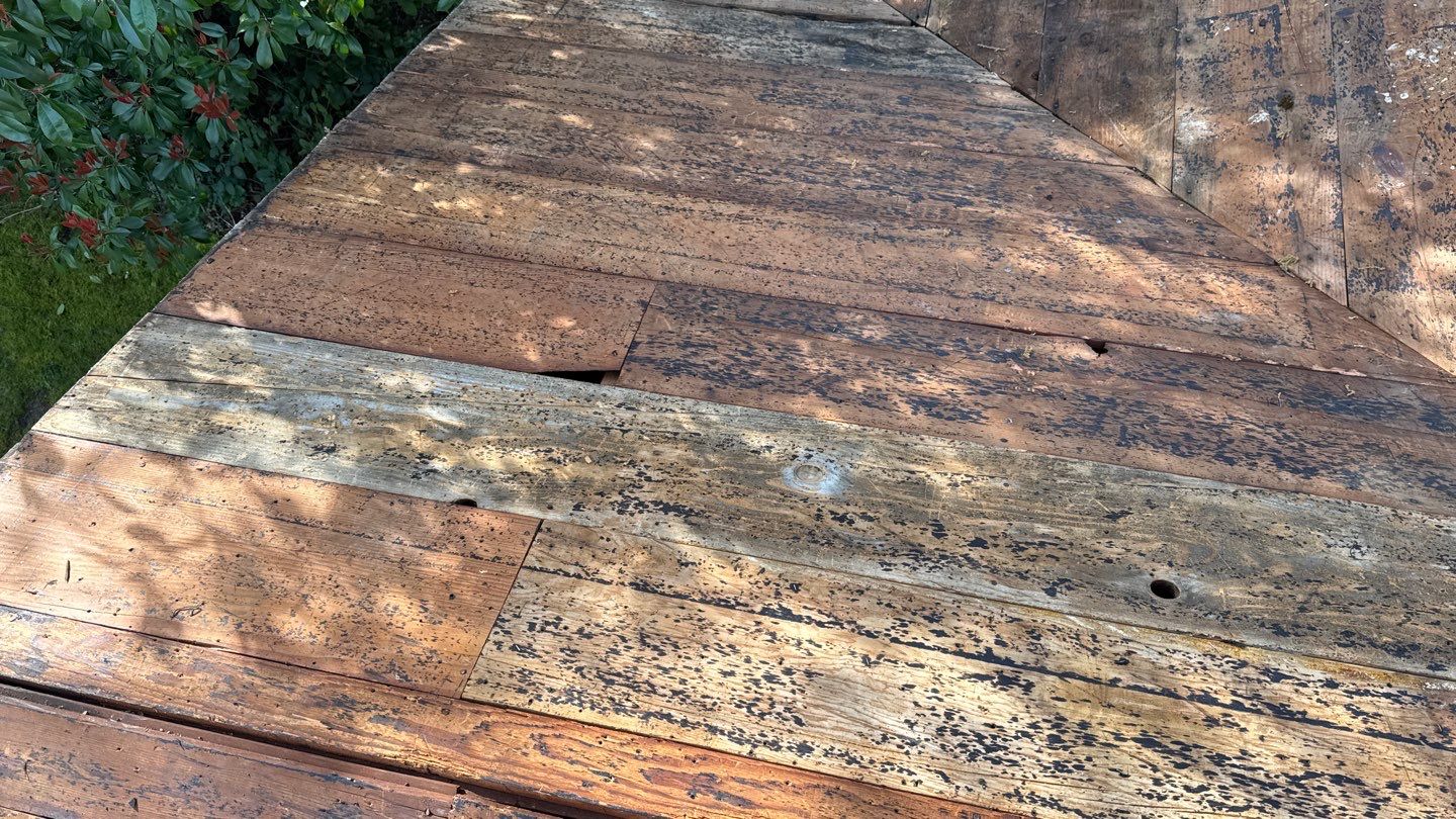 Willa Holmstock by NuLead Construction Inc