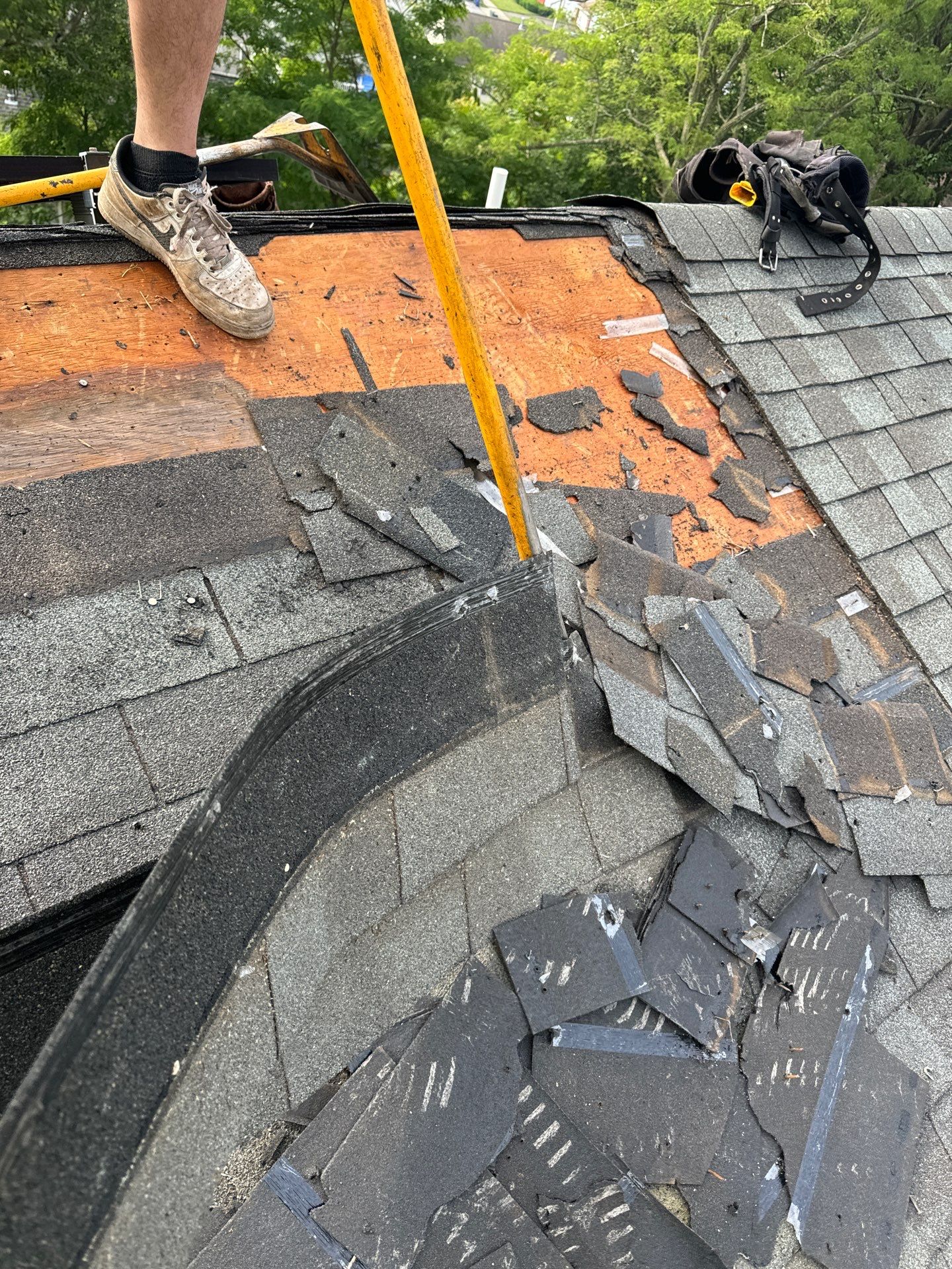 Harbor Blue Shingles by Reimagine Roofing