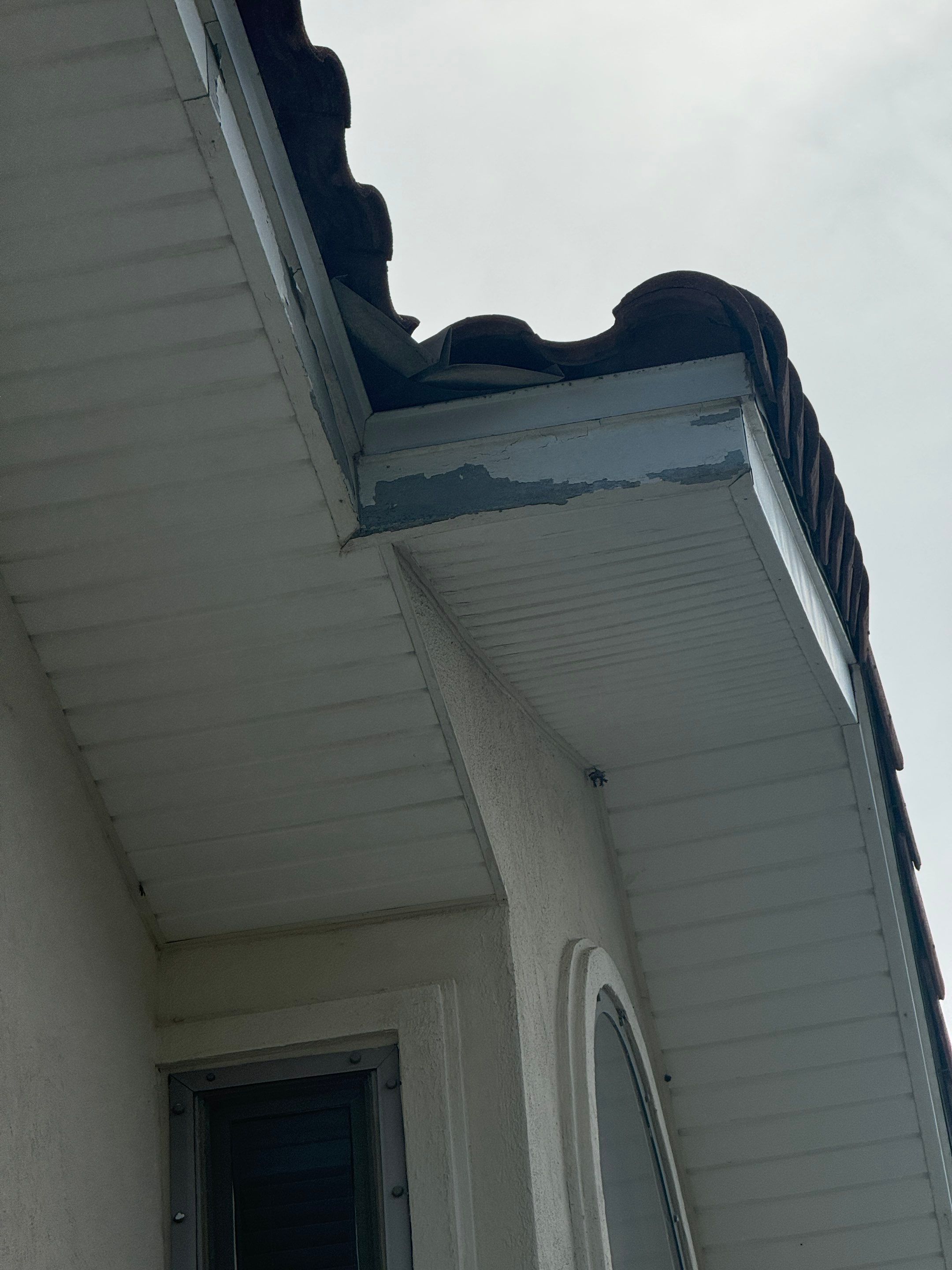 Project in Atlantic Beach by Colorwise Painting