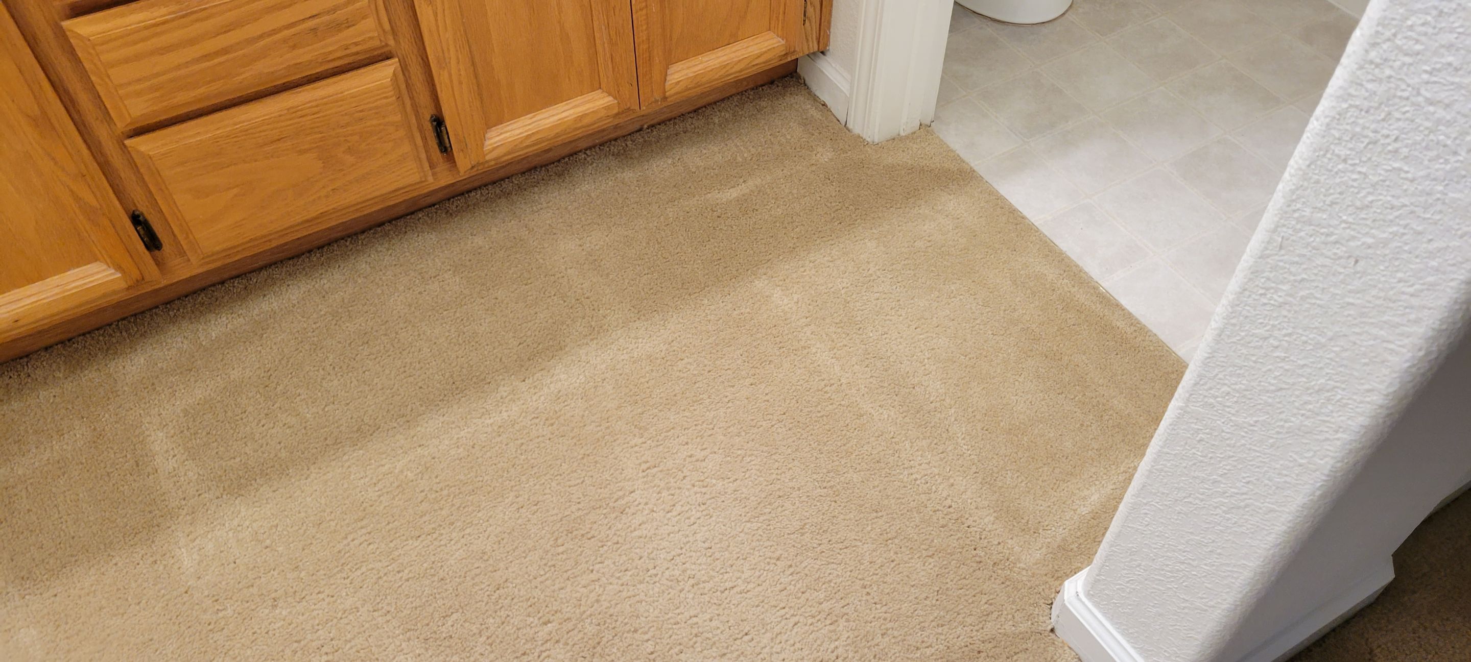Sectioning Out a Failed Dye Attempt by Ardent Carpet Restore LLC