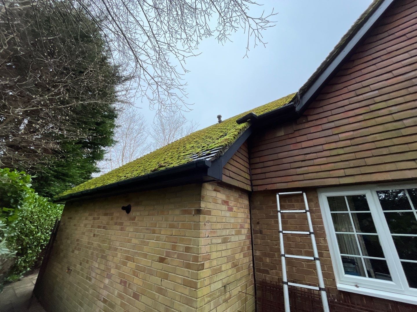 Roof Clean  - Moss Removal - Gutter Clean using Honda 15lpm Low Pressure Washing Machine by Ges Exterior Cleaning ltd