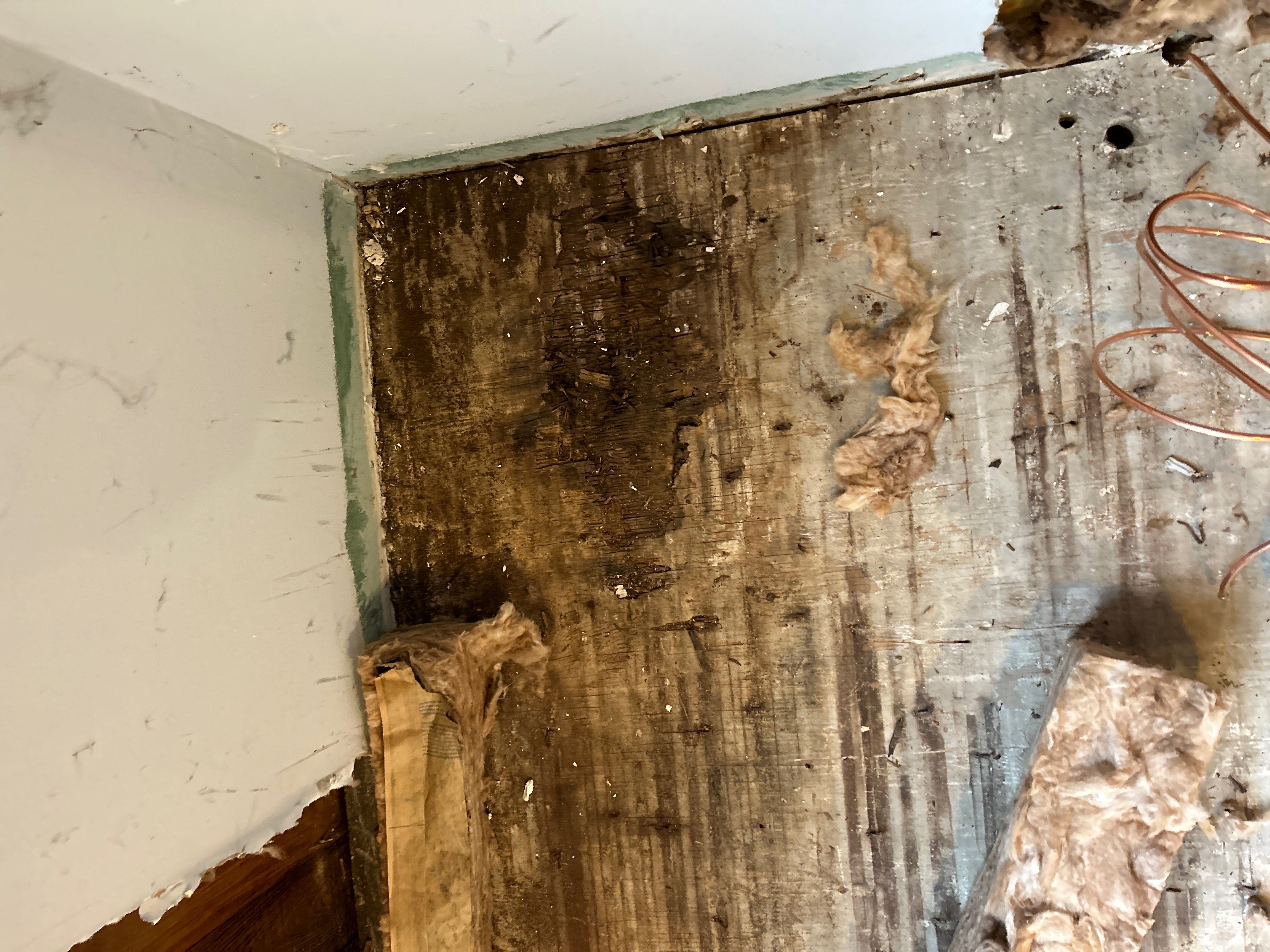 Water Damage by G2