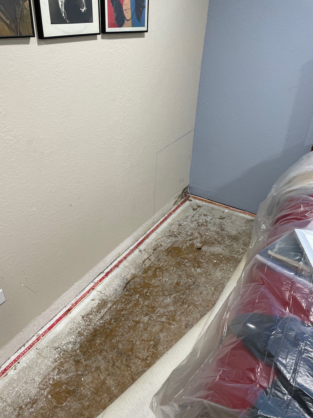 Water Damage and Mold Remediation by Accountable Home Services