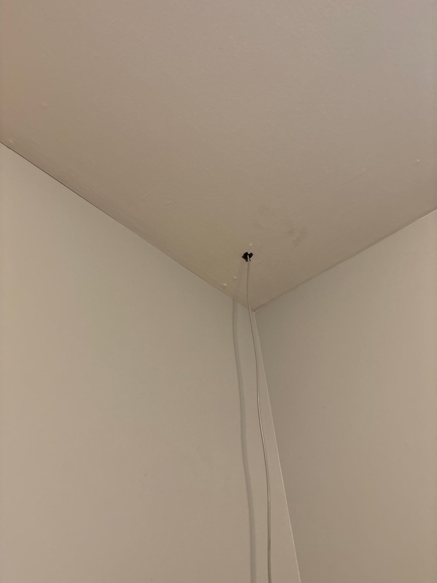 Denver Interior Water Damage Remediation and Ceiling Repair by CompanyCam Sales Demo