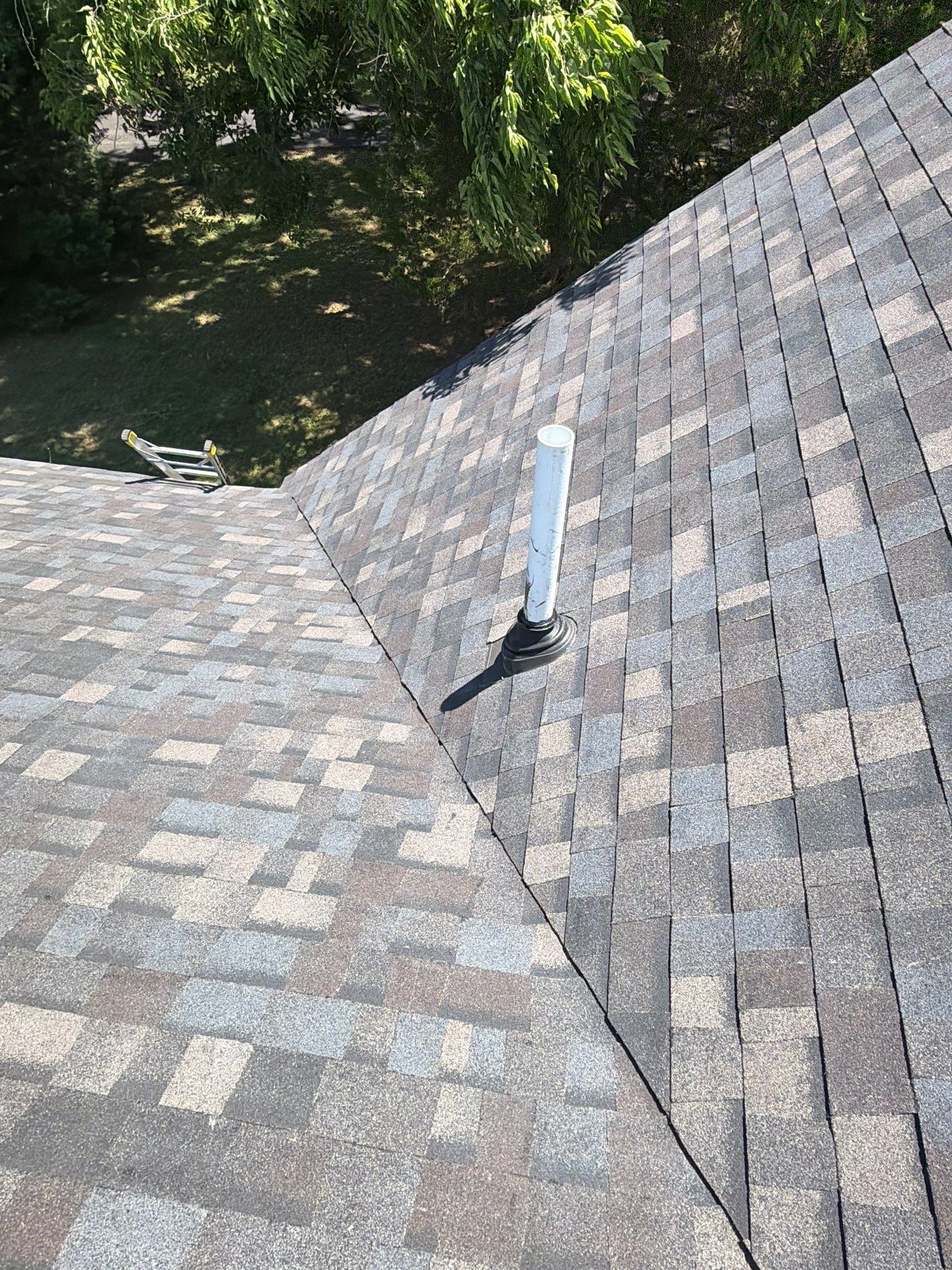Complete Asphalt Shingle Roof Replacement and Sheathing Repair in Deltaville by Cade Construction