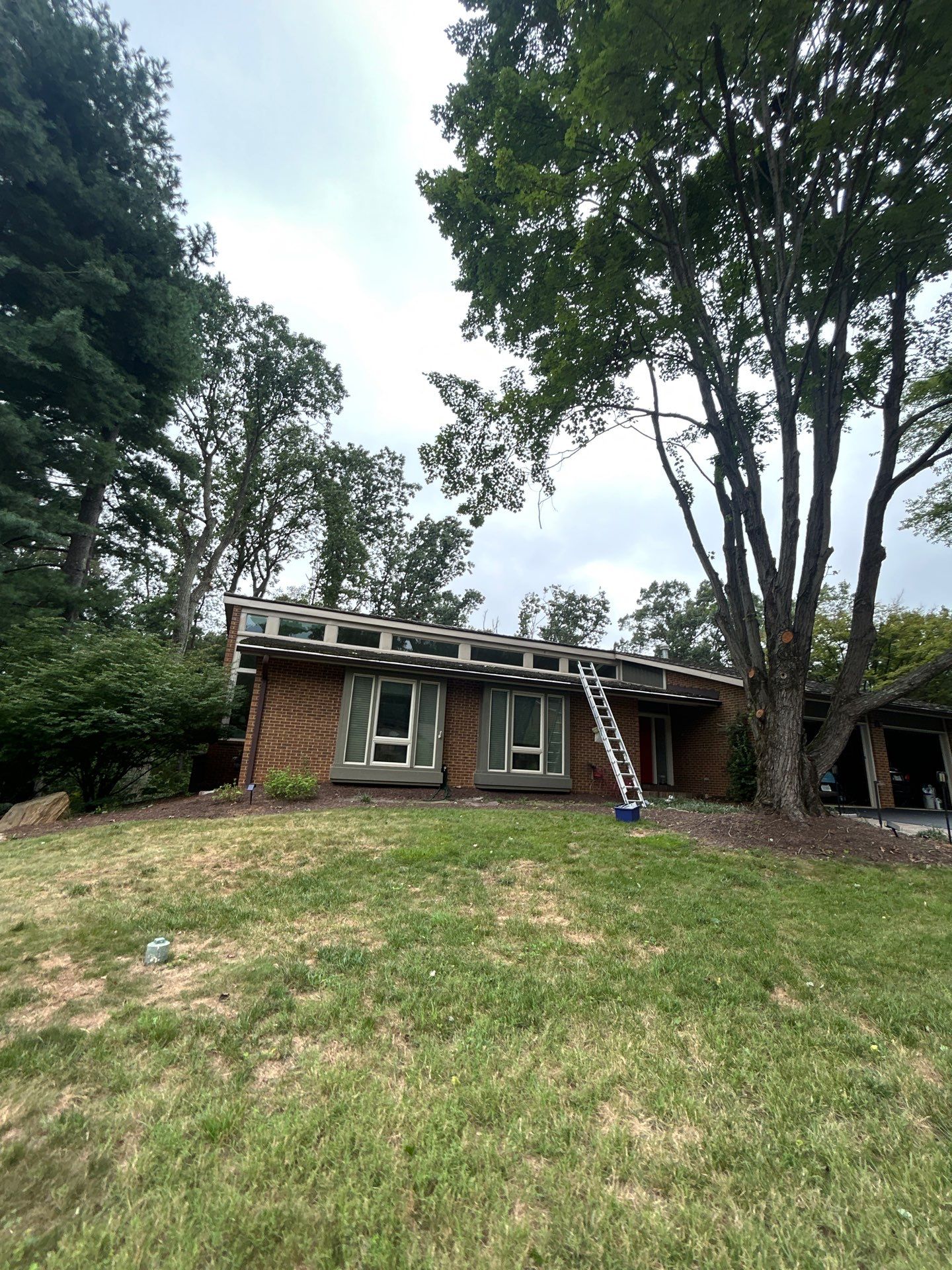 Vienna : Residential Roof Replacement with CertainTeed Landmark Pro in Max Def Georgetown Gray  by RM Banning, Inc.