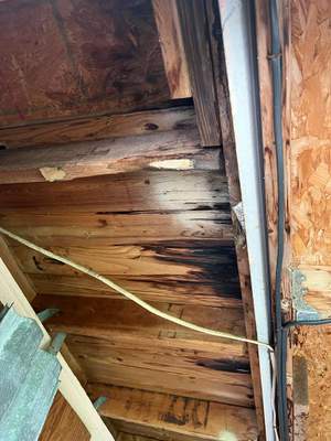 Water Damage Claim in Cape Coral