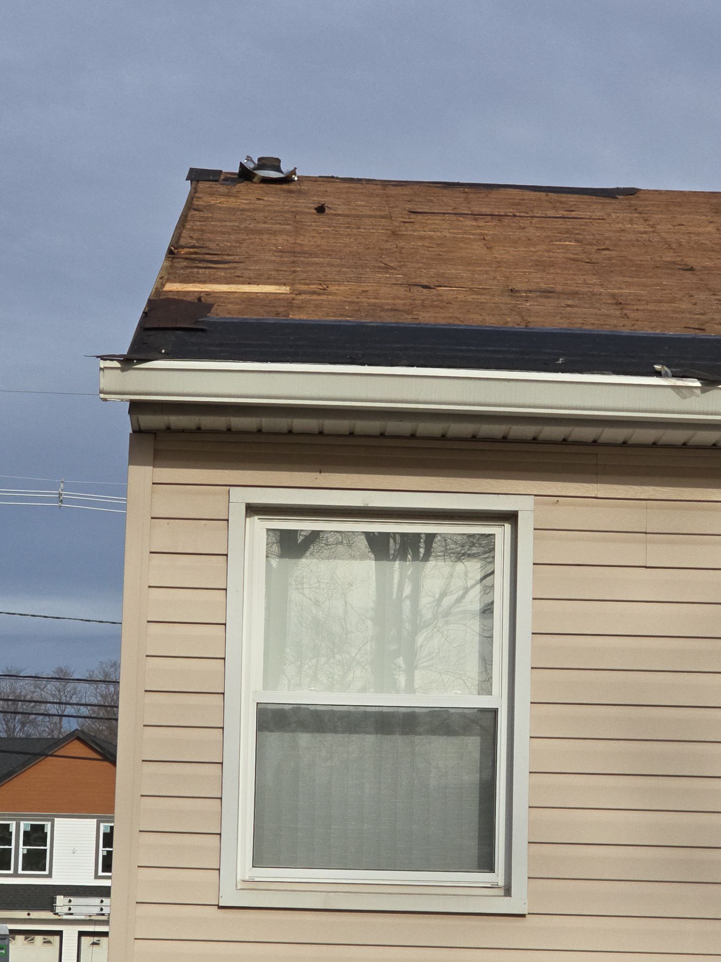 Pewter Gray Shingles by Reimagine Roofing